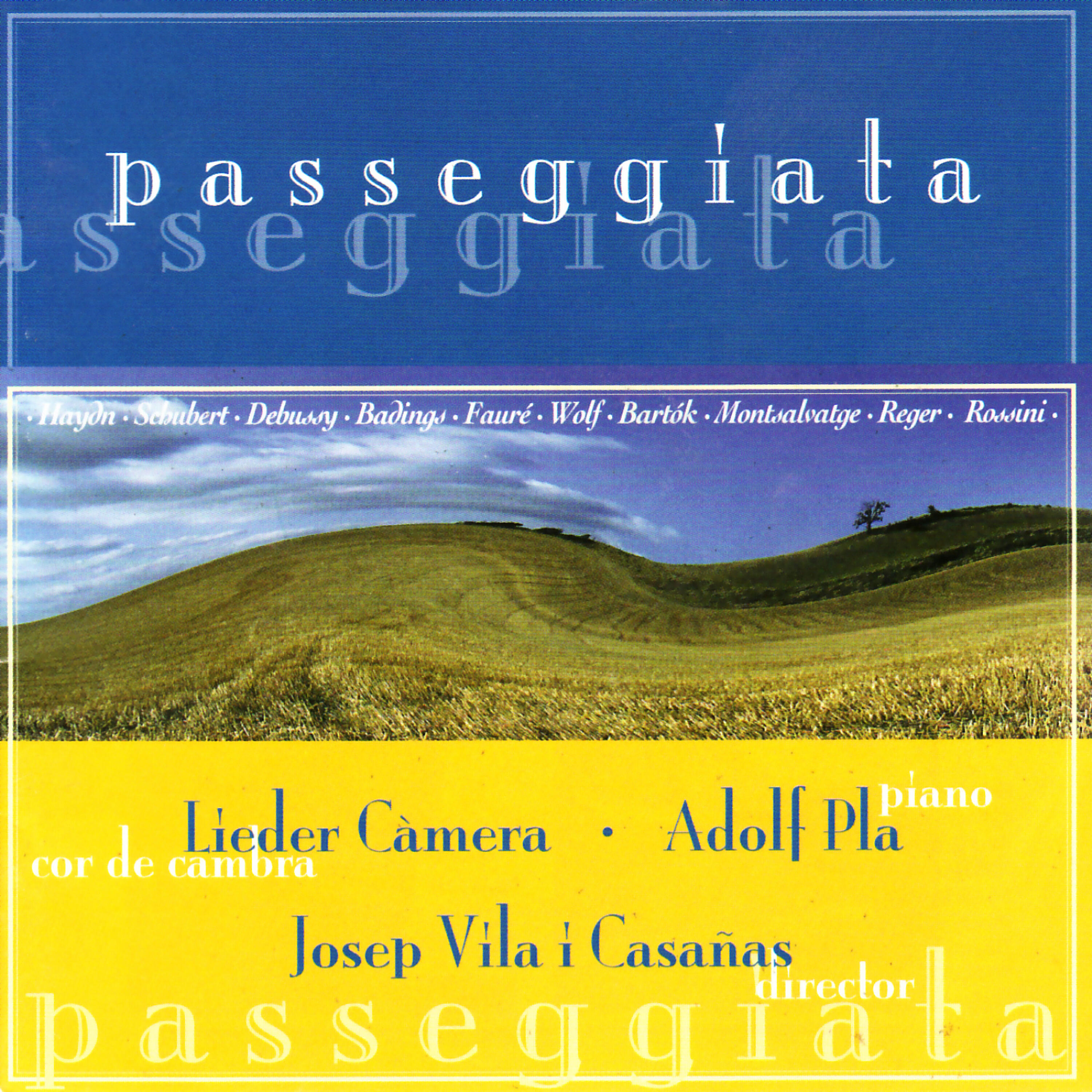 Релиз Passeggiata - Hadyn, Schubert, Debussy, Badings, etc