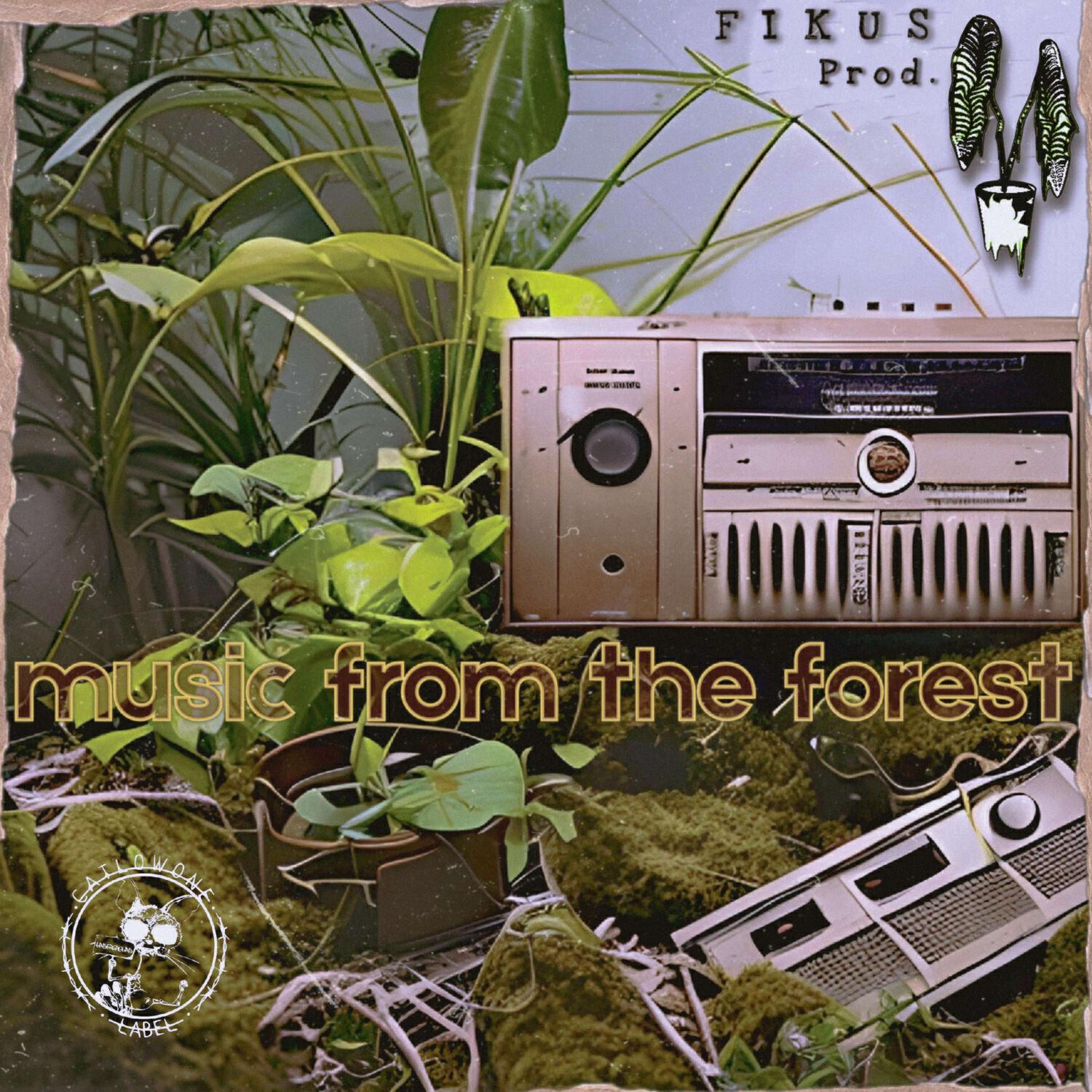 Релиз Music from the Forest