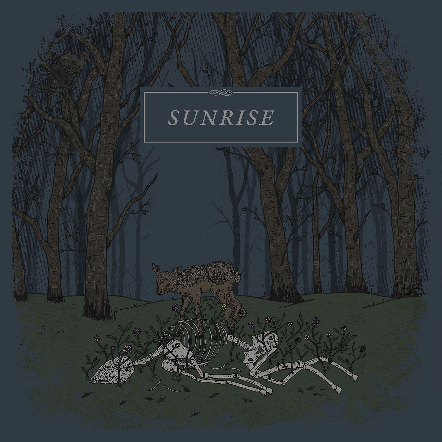 Релиз Sunrise