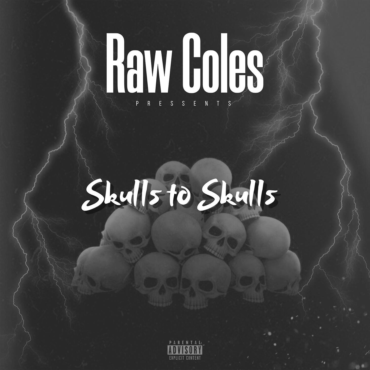 Постер альбома Skulls to Skulls