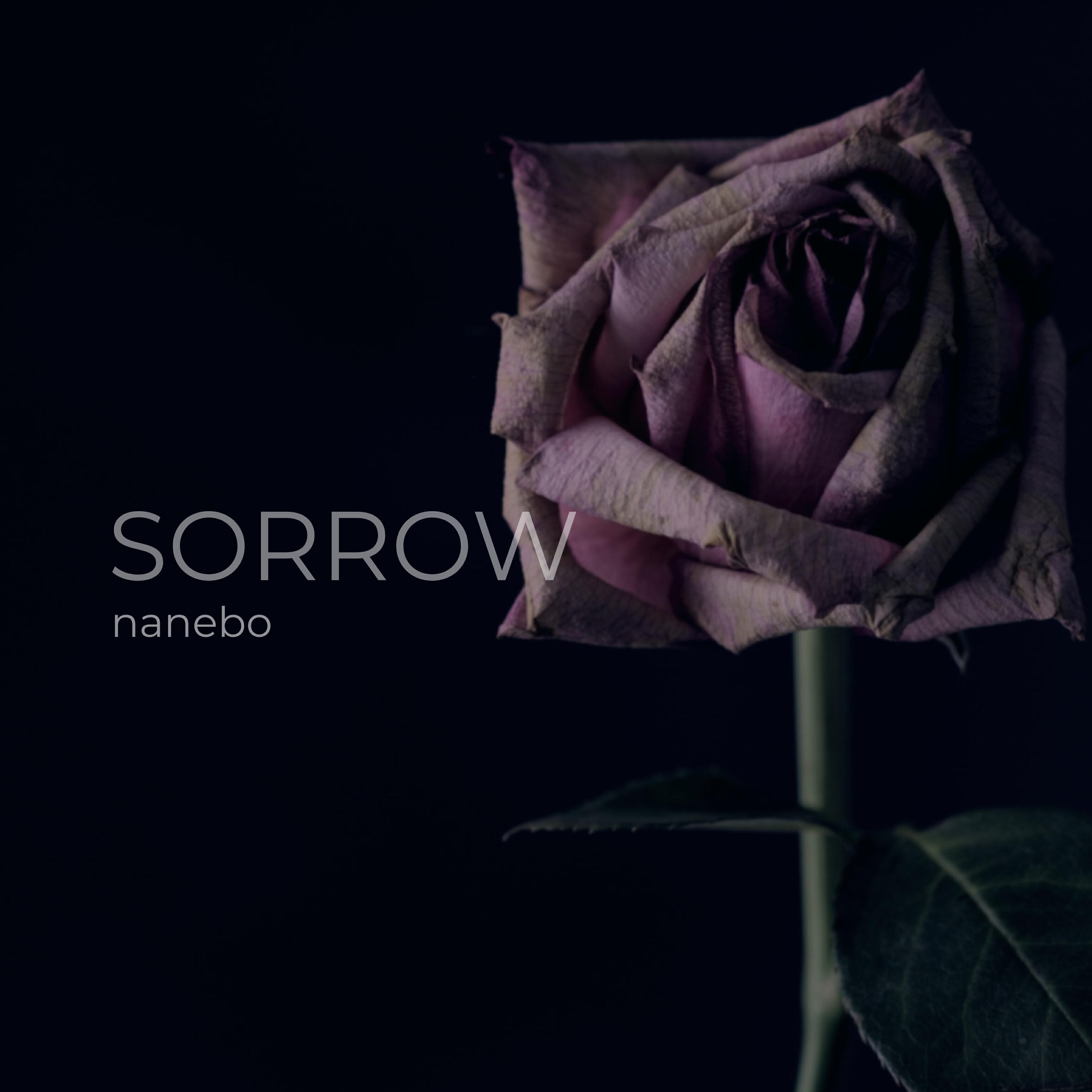 Релиз Sorrow