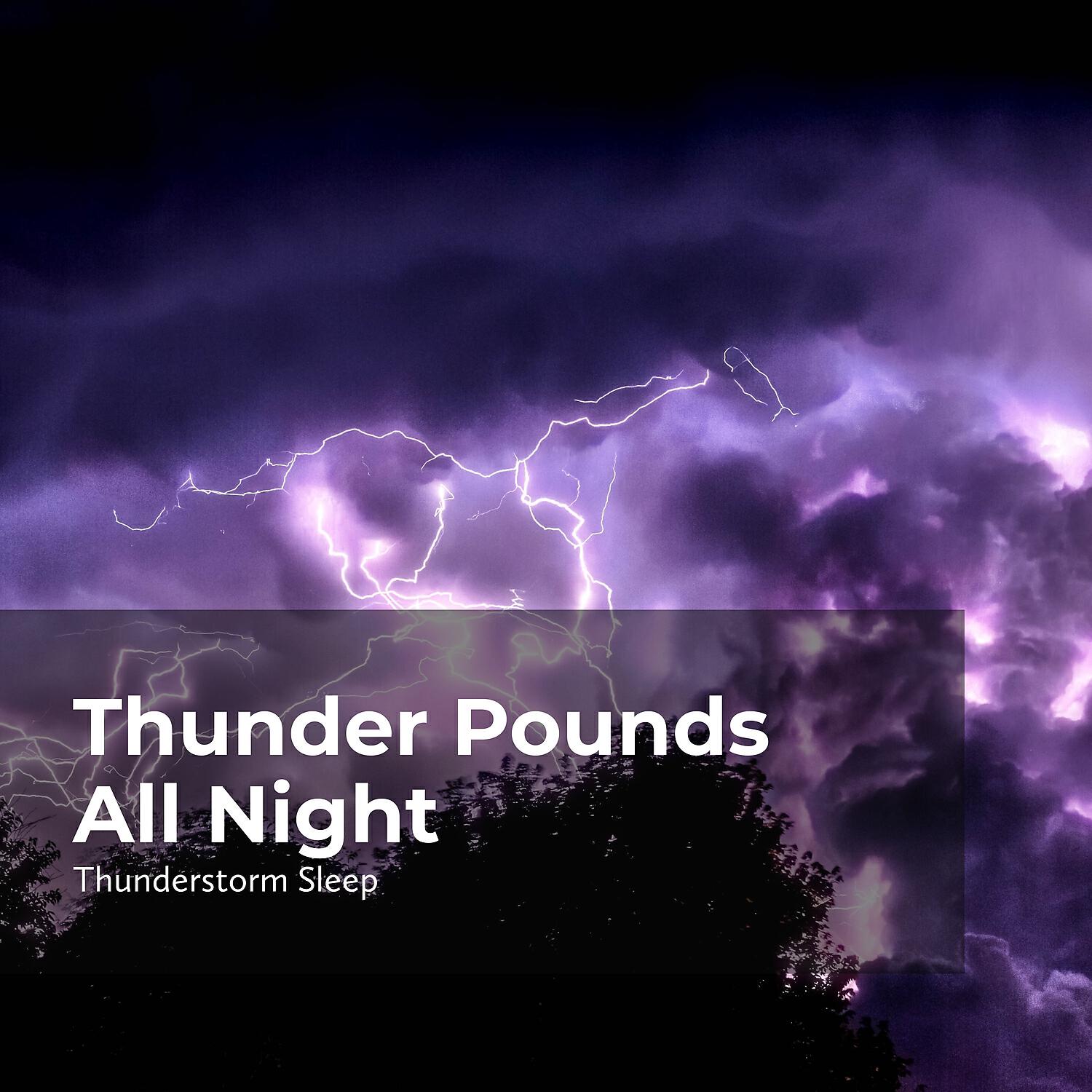 Релиз Thunder Pounds All Night