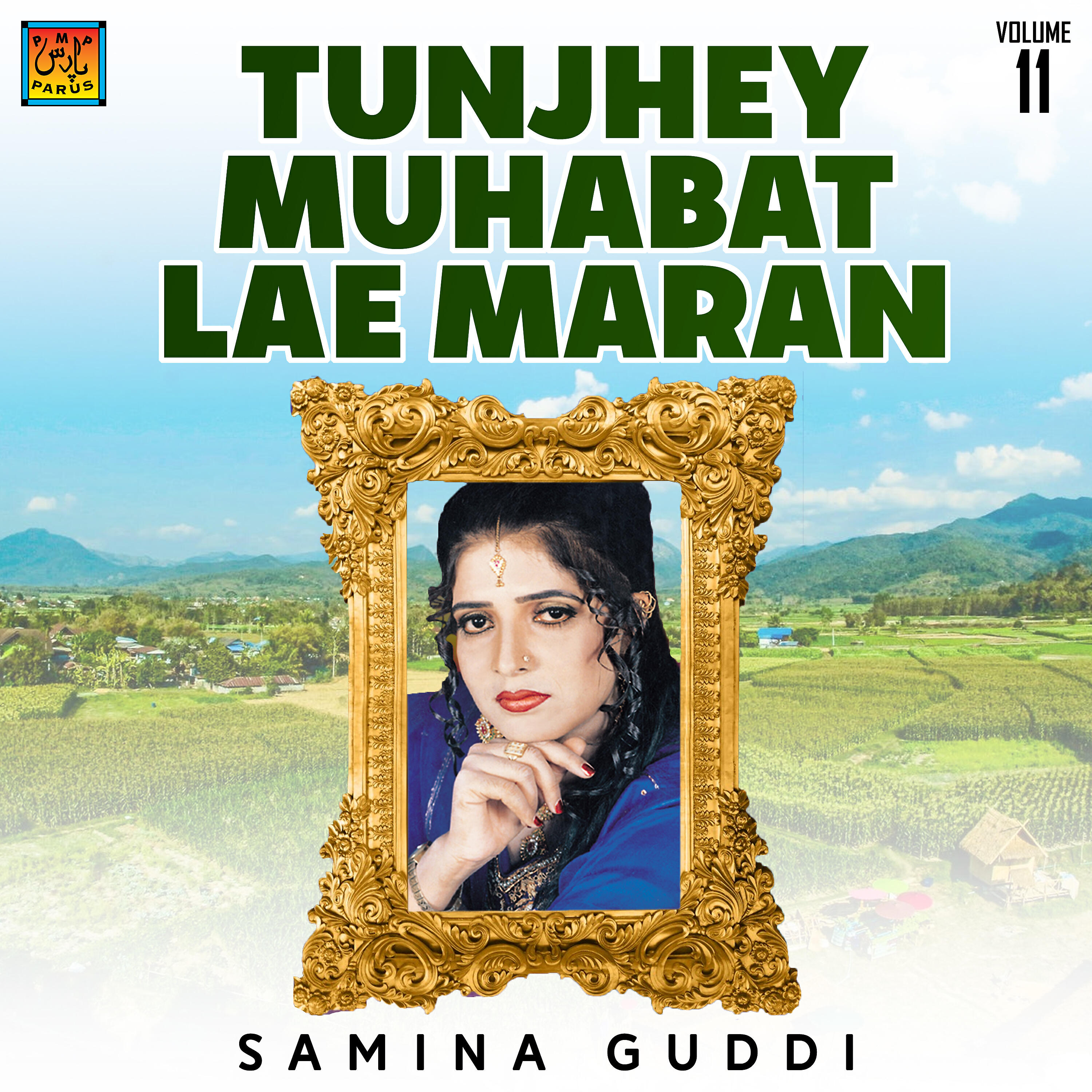 Релиз Tunjhey Muhabat Lae Maran, Vol. 11