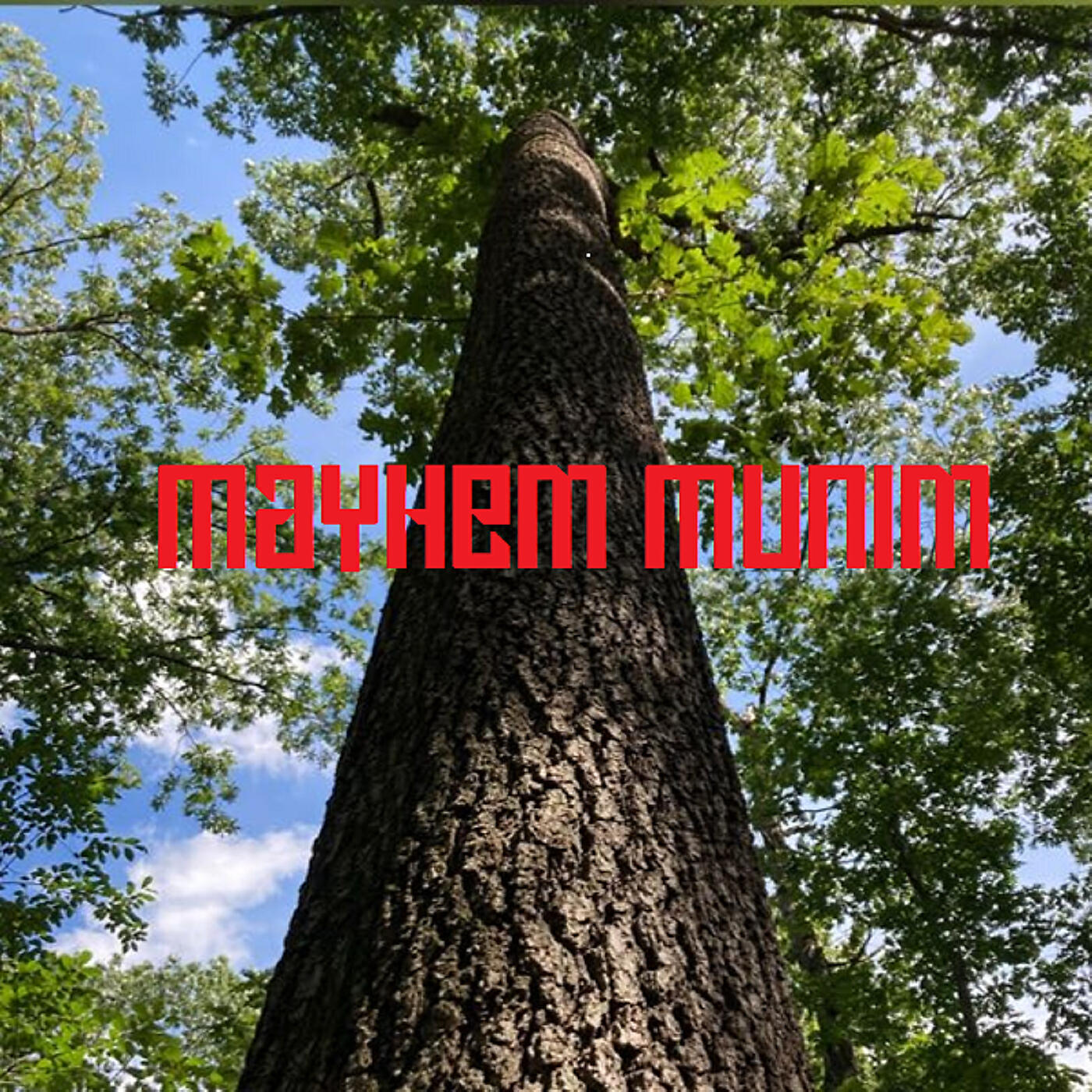 Релиз When I Saw You