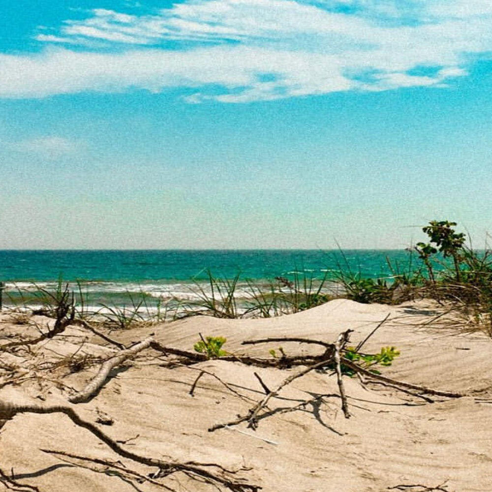 Релиз BEACHBOY!