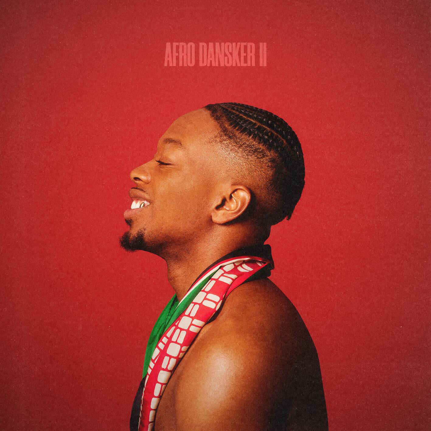 Релиз AFRO DANSKER II