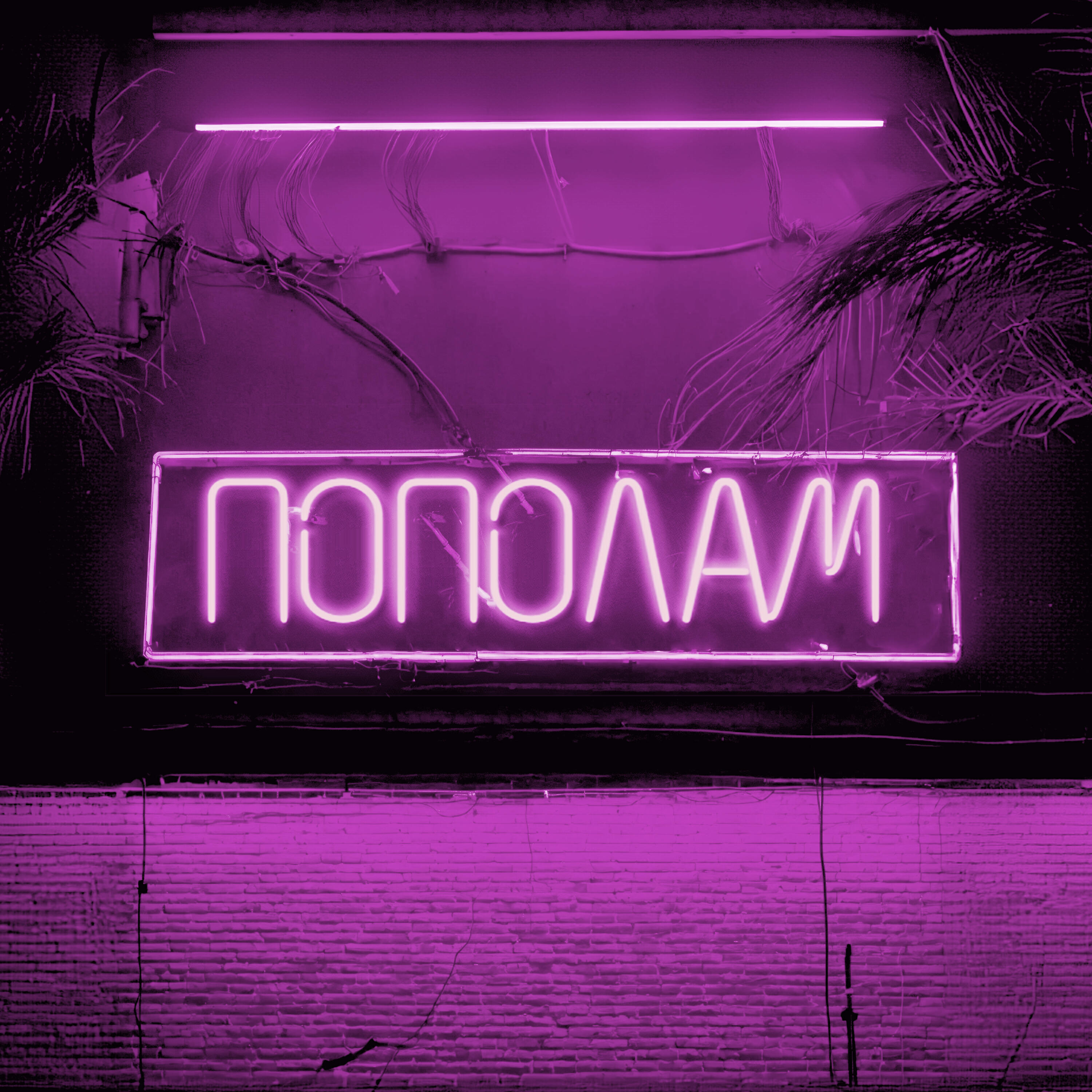 Постер альбома Пополам