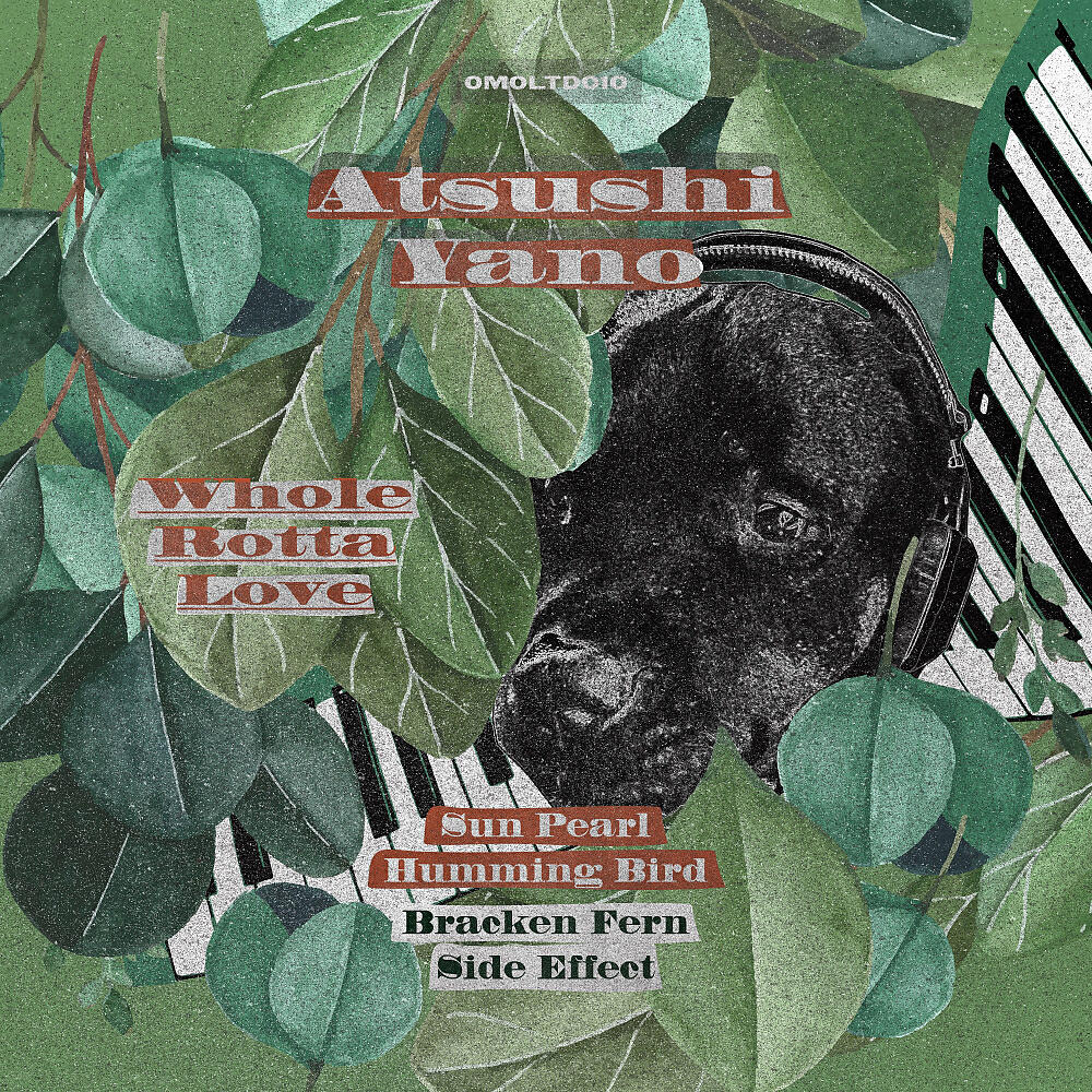 Релиз Whole Rotta Love