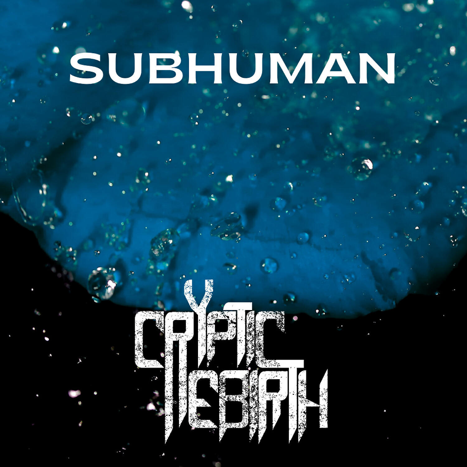 Релиз Subhuman