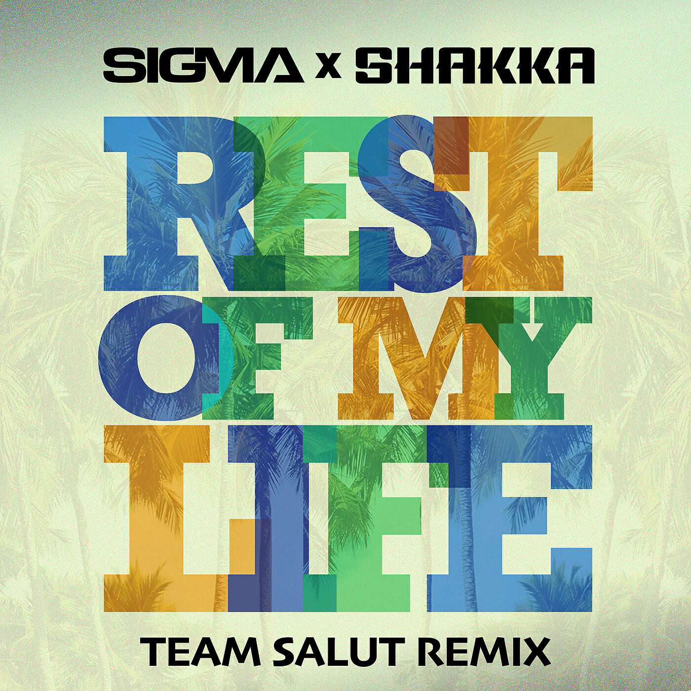 Sigma, Shakka - Rest Of My Life (Team Salut Remix)
