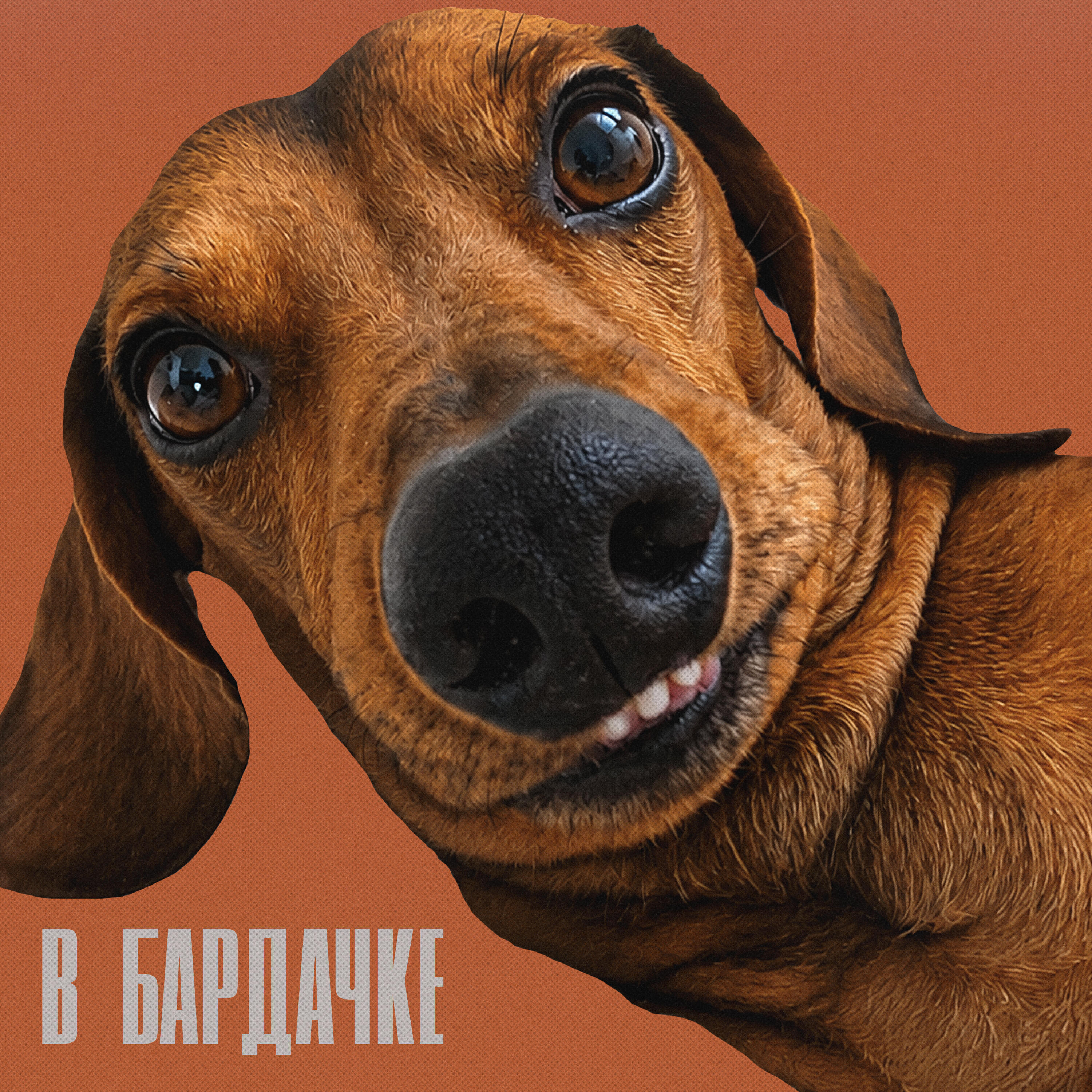 Ковальский