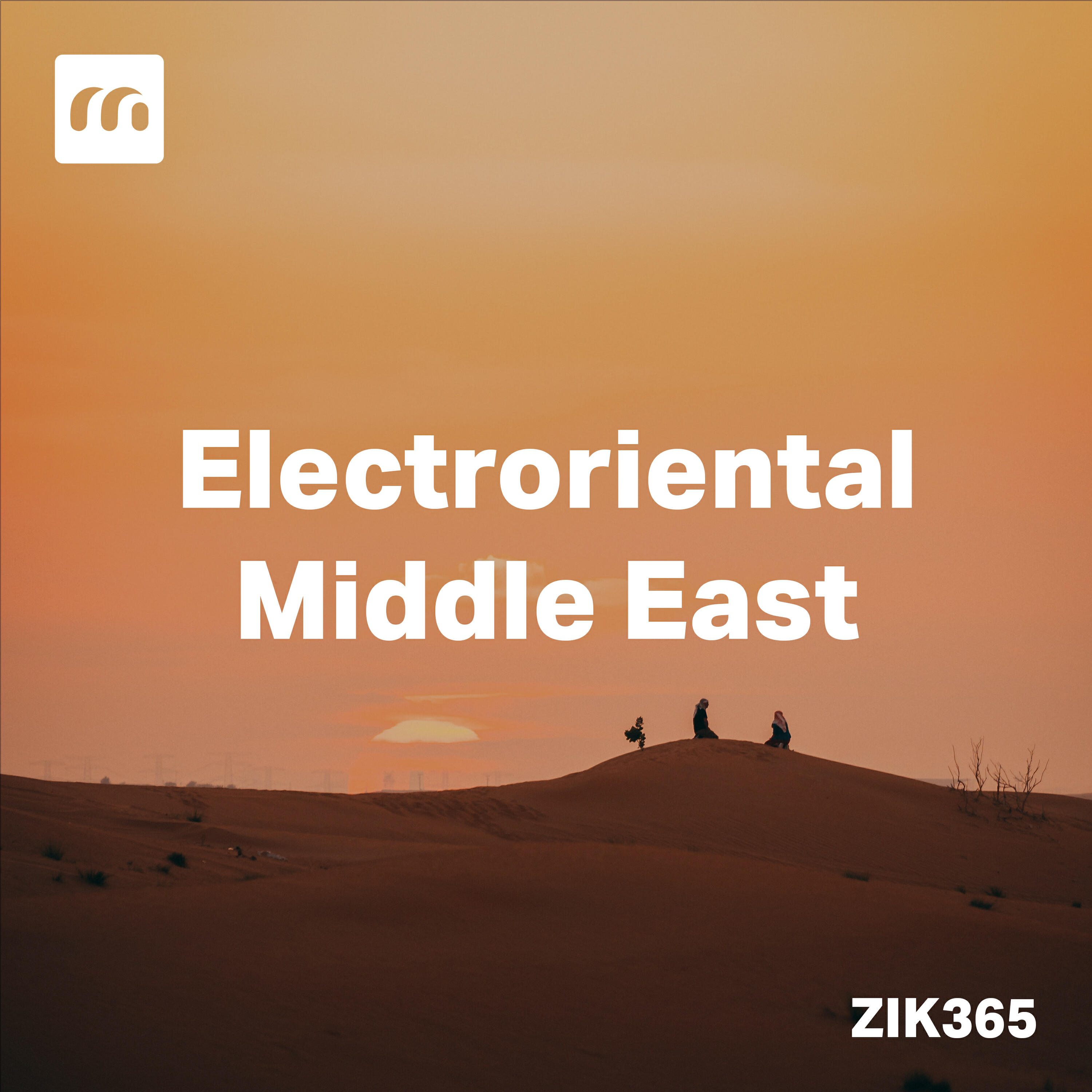 Релиз Electroriental Middle East