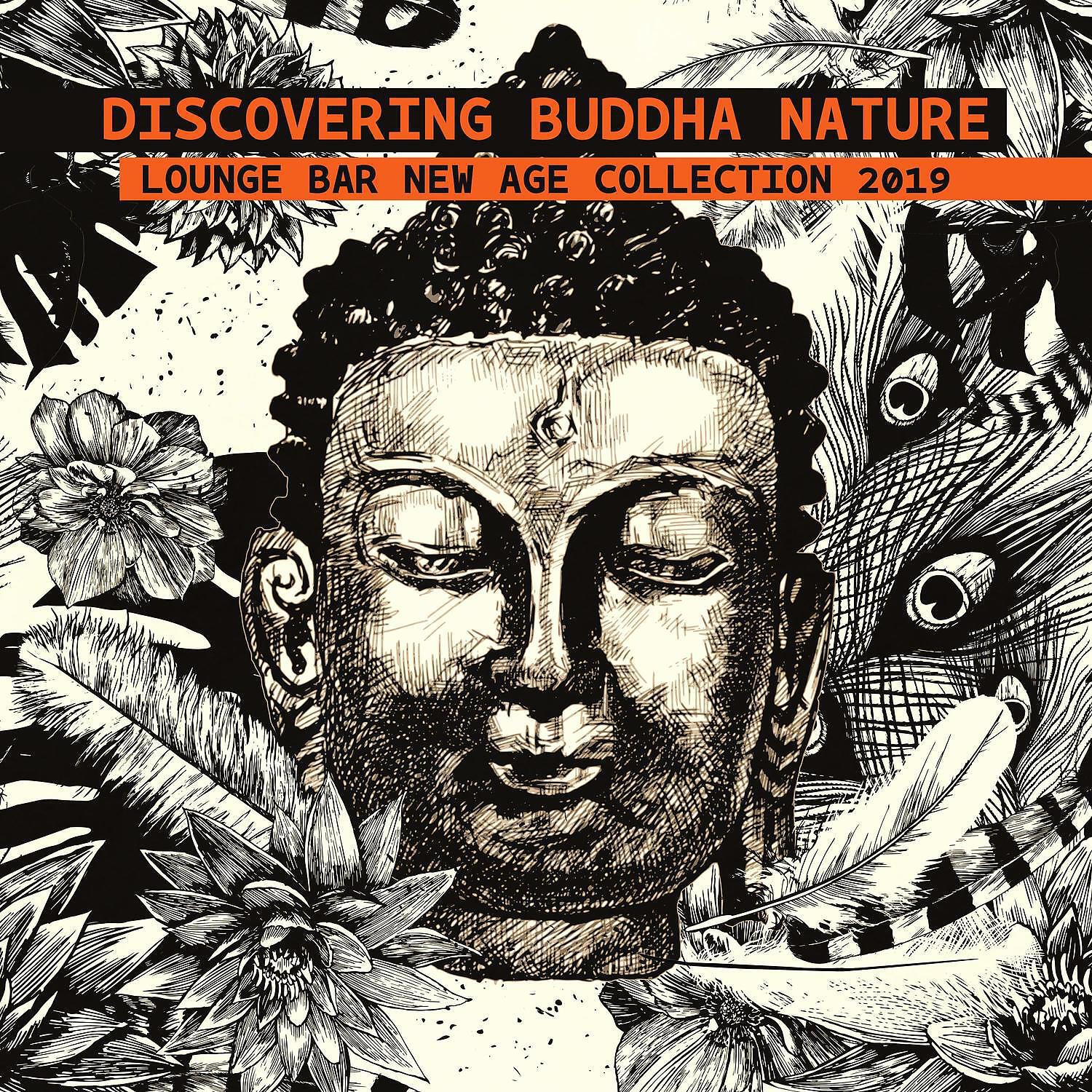 Релиз Discovering Buddha Nature - Lounge Bar New Age Collection 2019