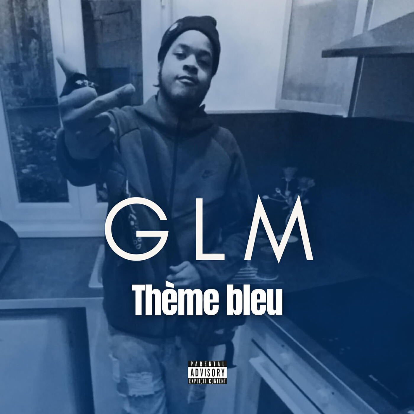 Релиз THEME BLEU