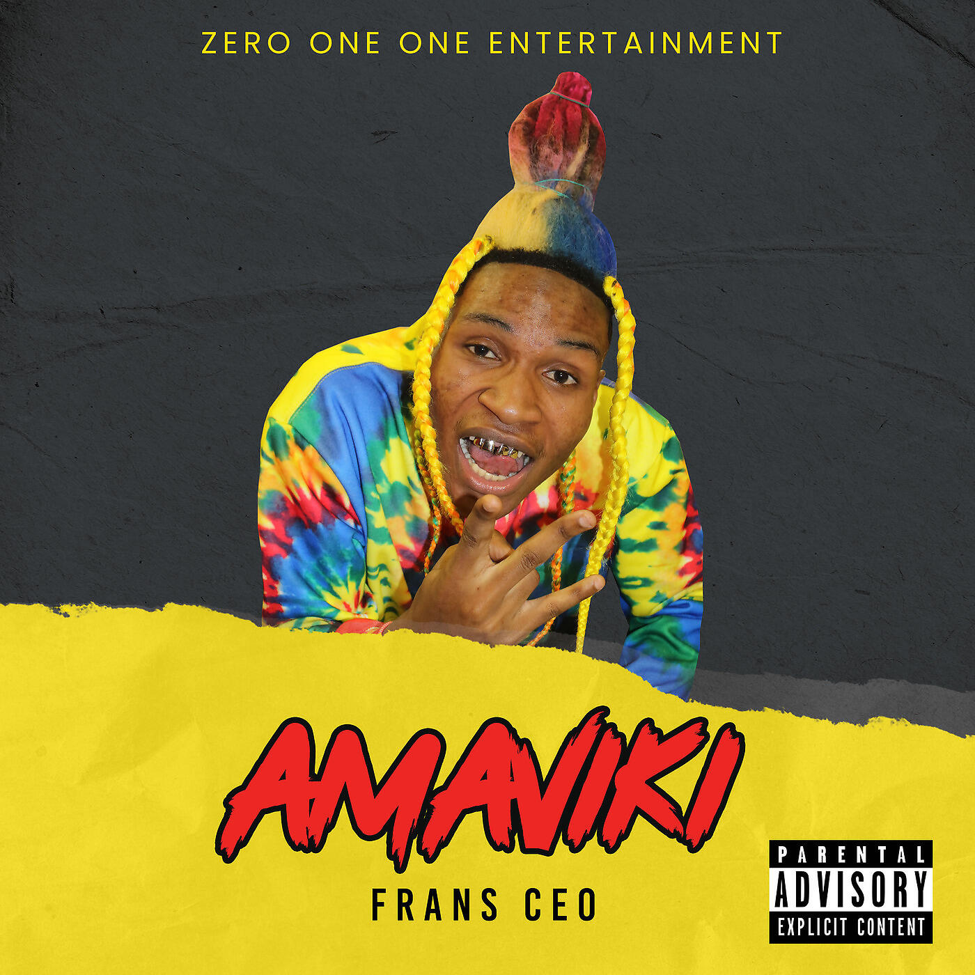 Релиз Amaviki