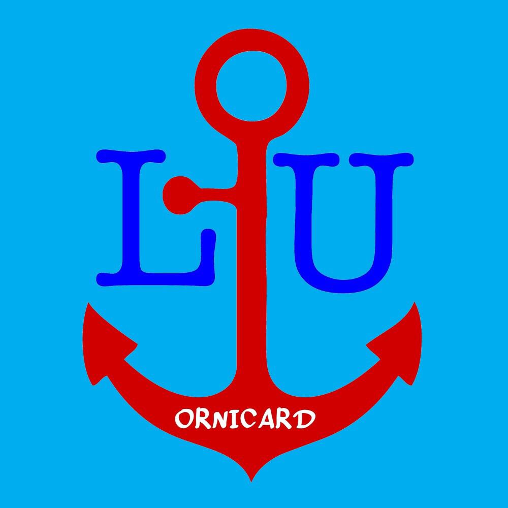 Релиз LU