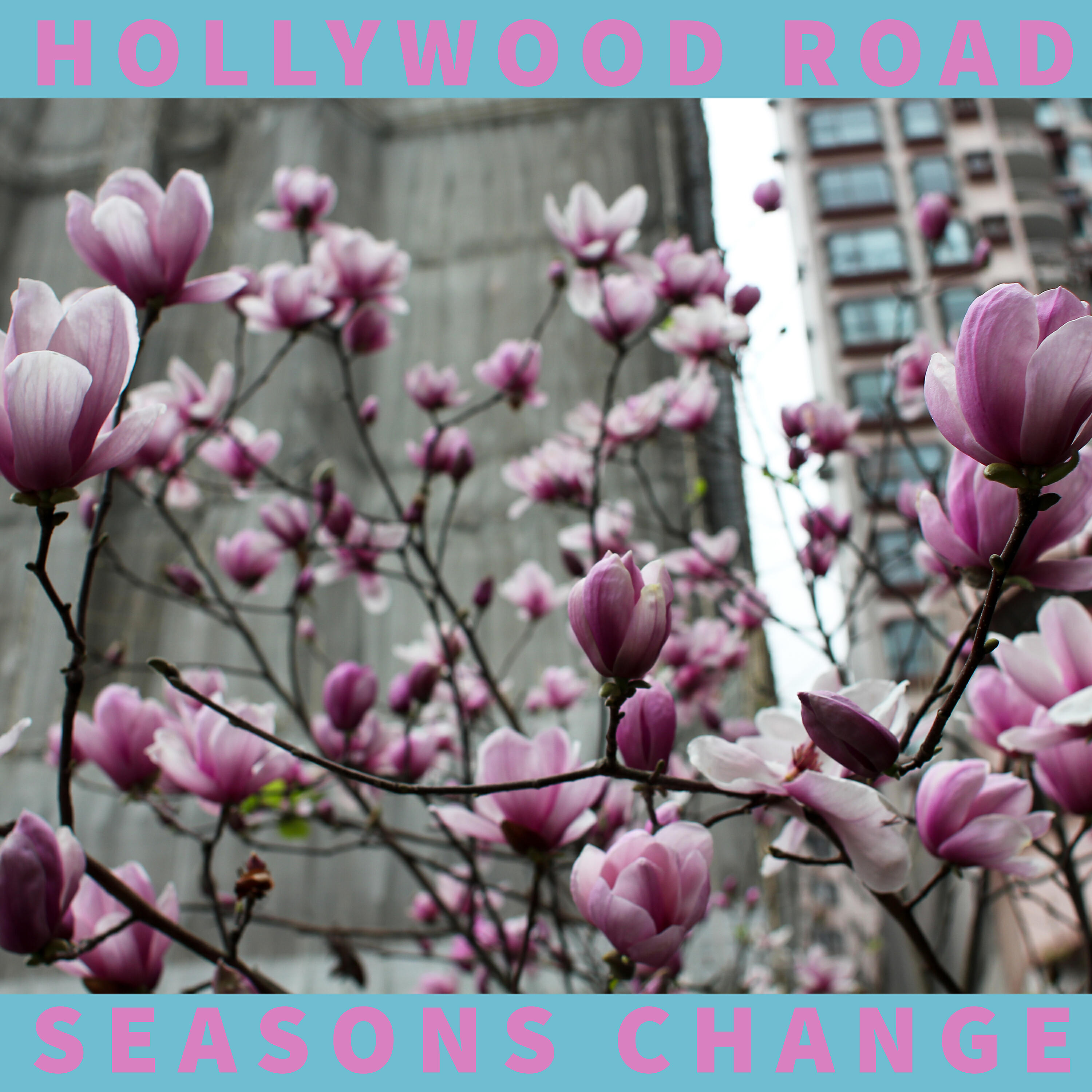 Релиз Seasons Change