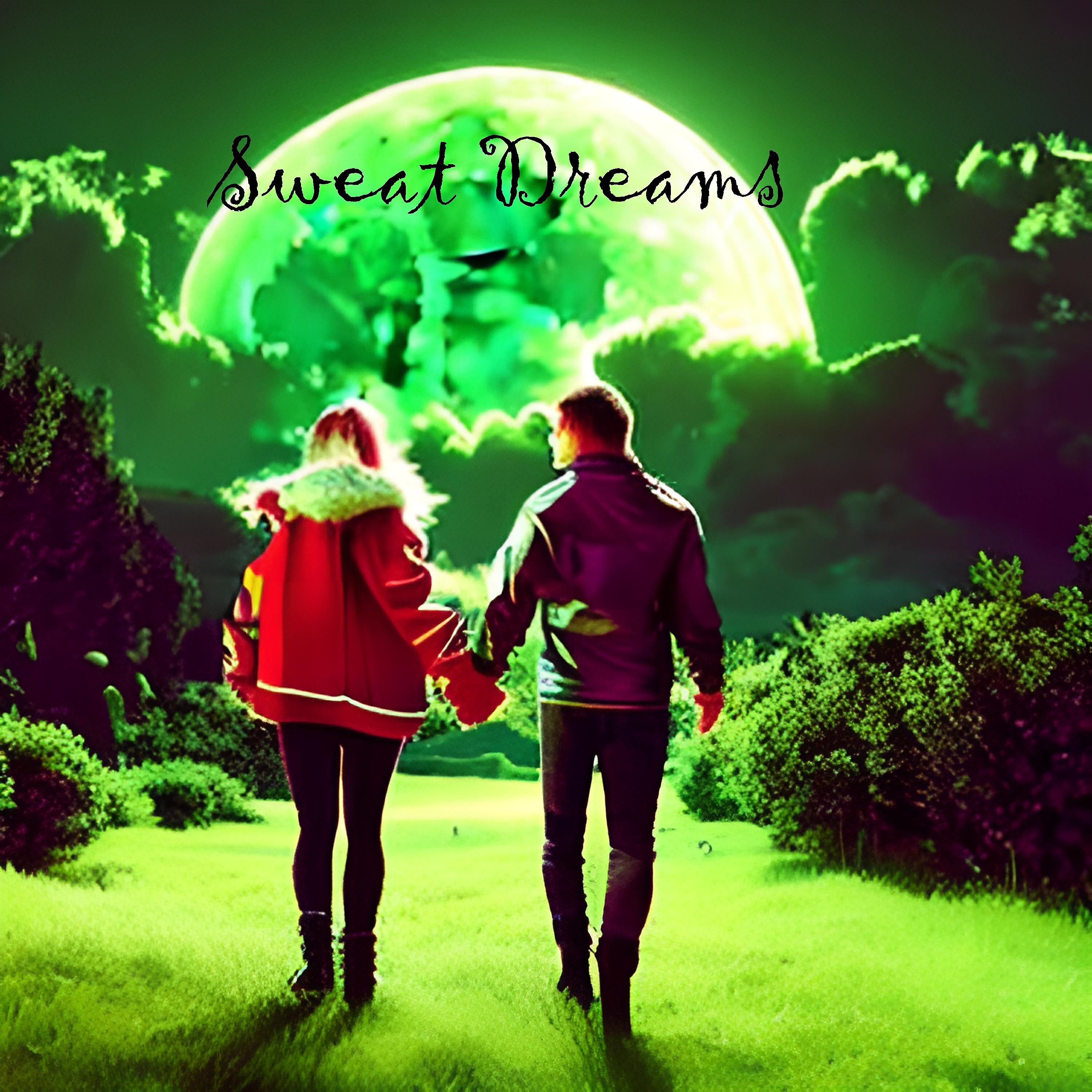Постер альбома Sweat Dreams