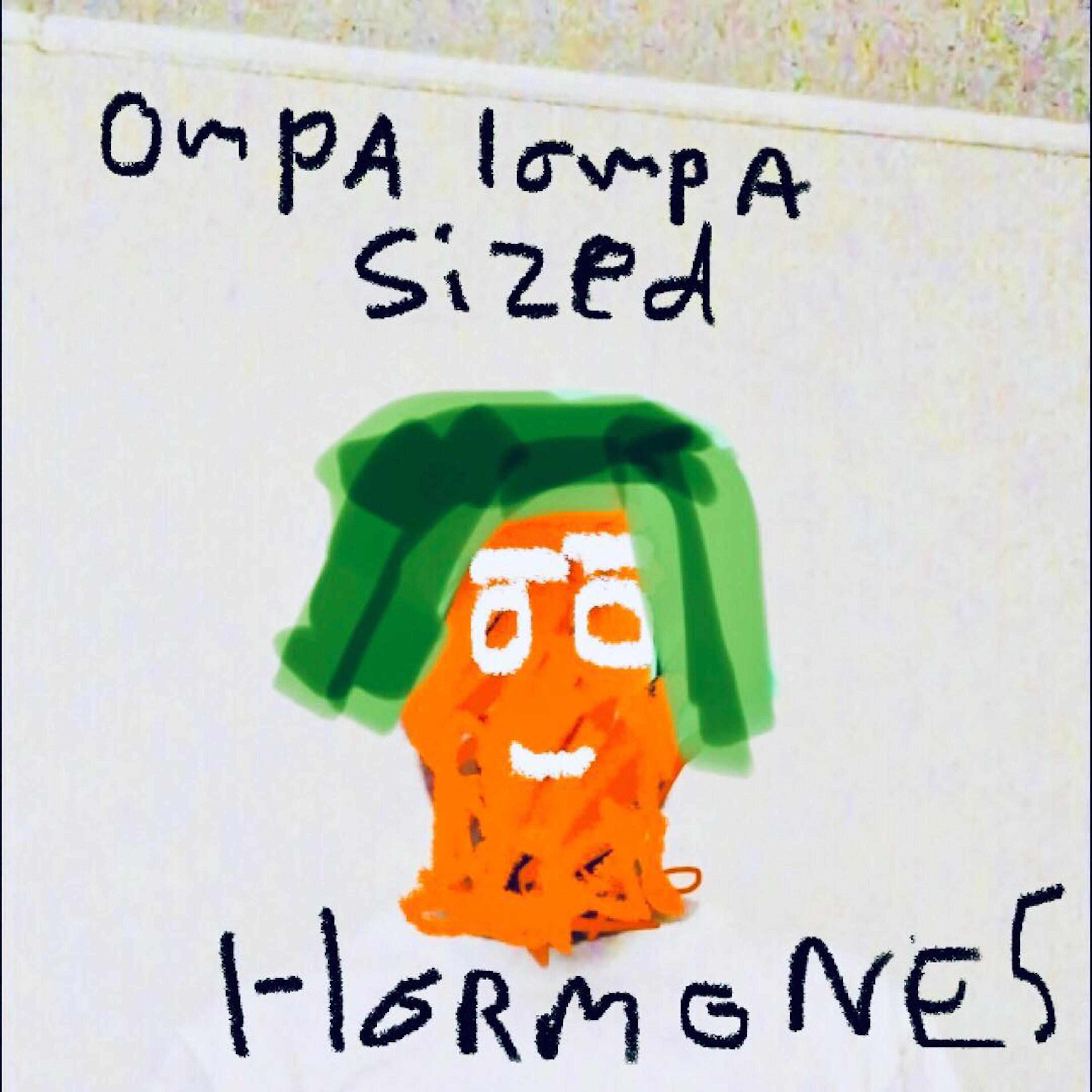 Релиз Ompa Lompa Sized Hormones
