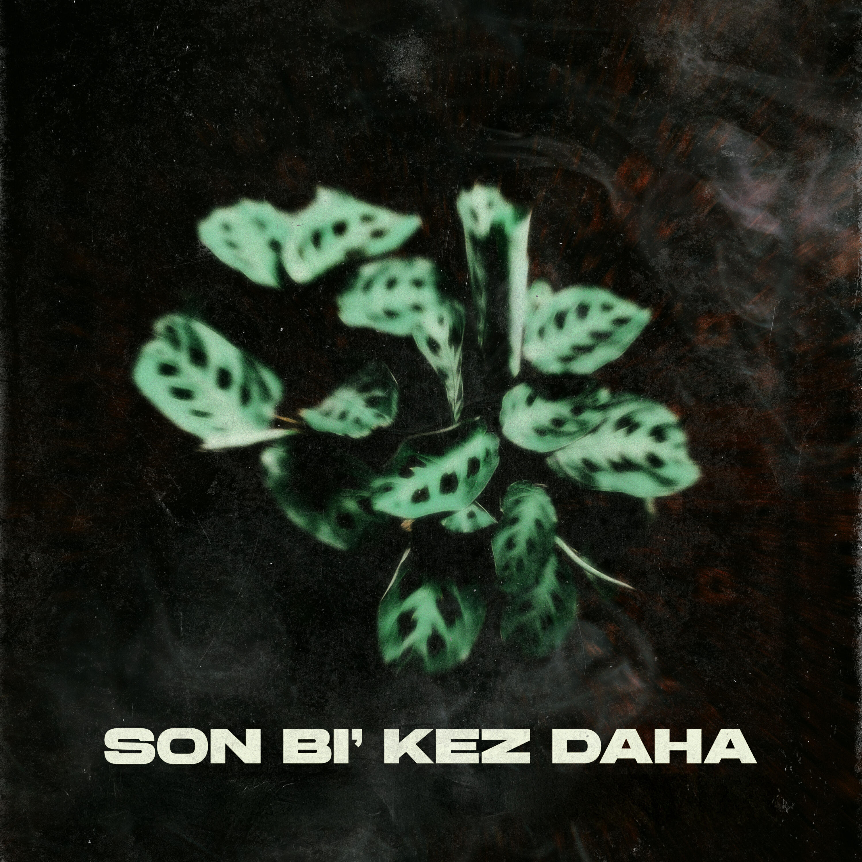 Mithat Dalgıç
