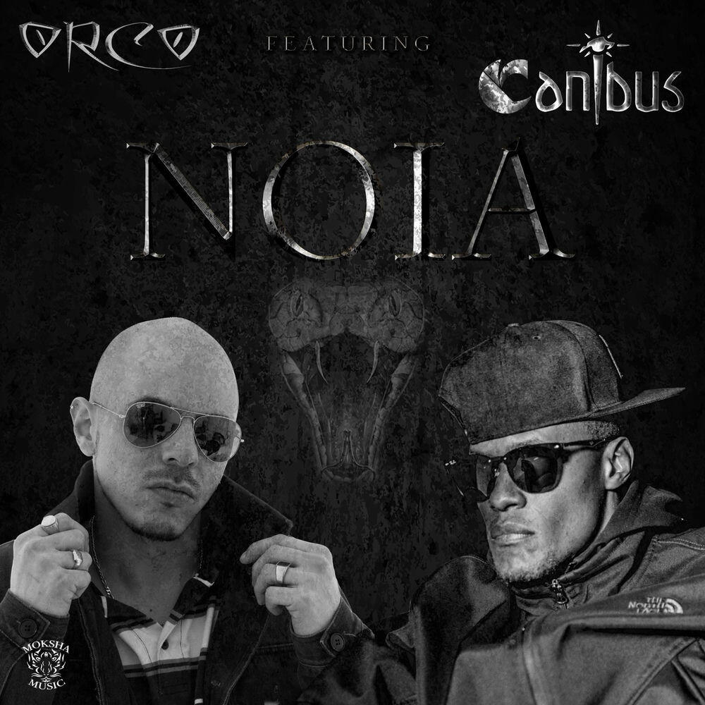 Релиз Noia