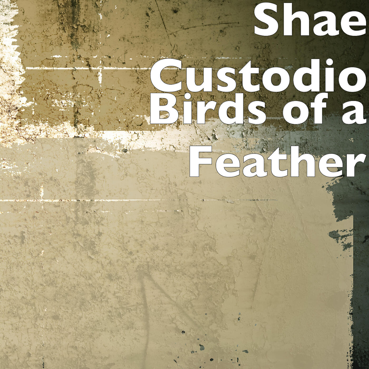 Релиз Birds of a Feather