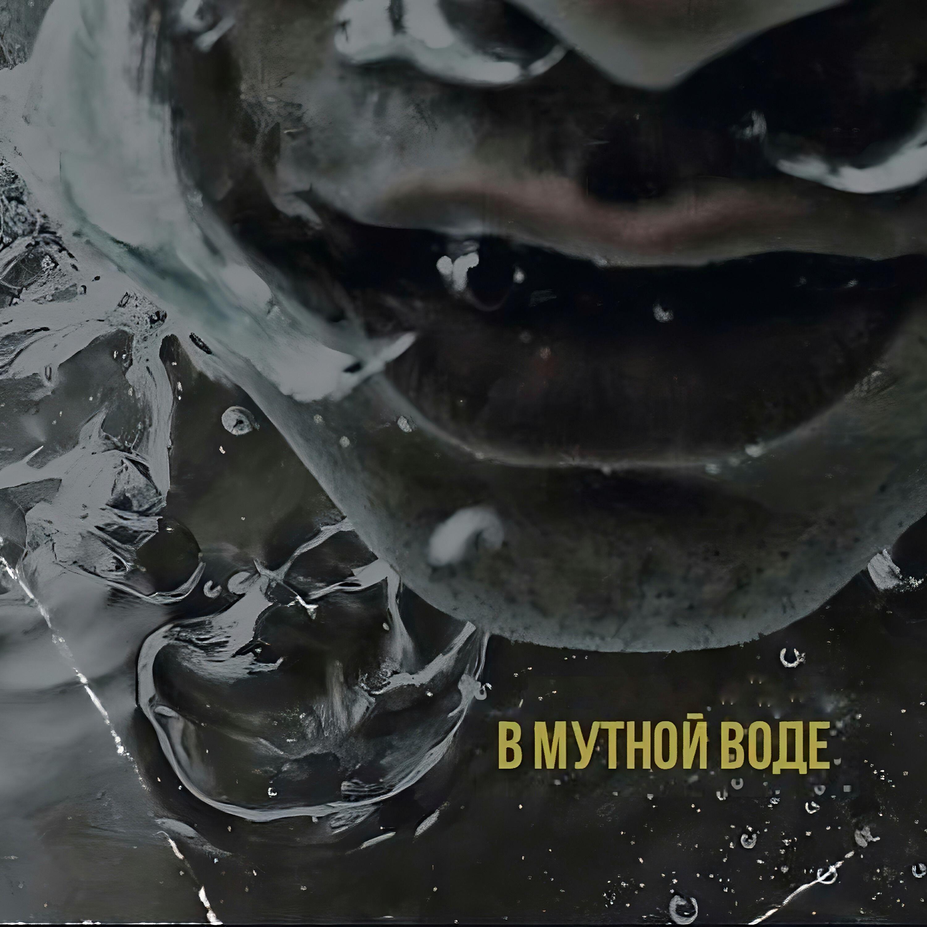 Постер альбома В мутной воде