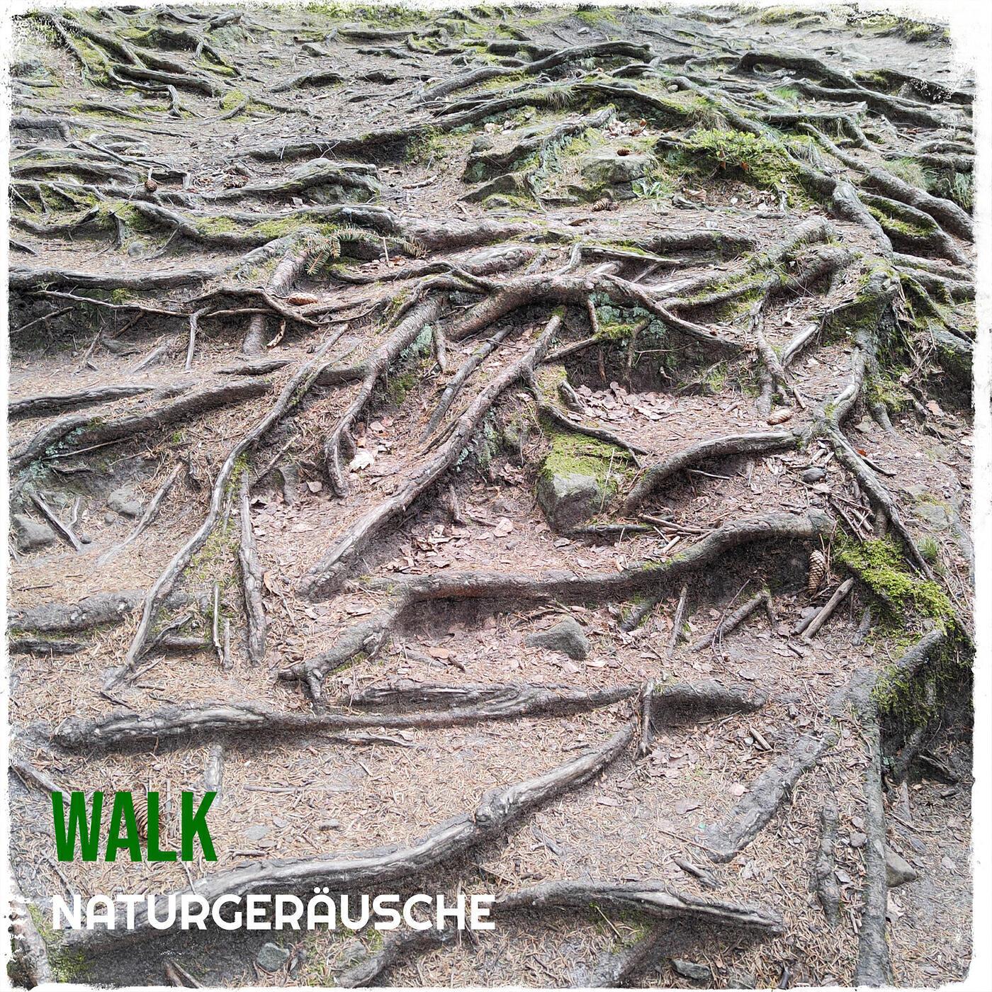 Naturgeräusche