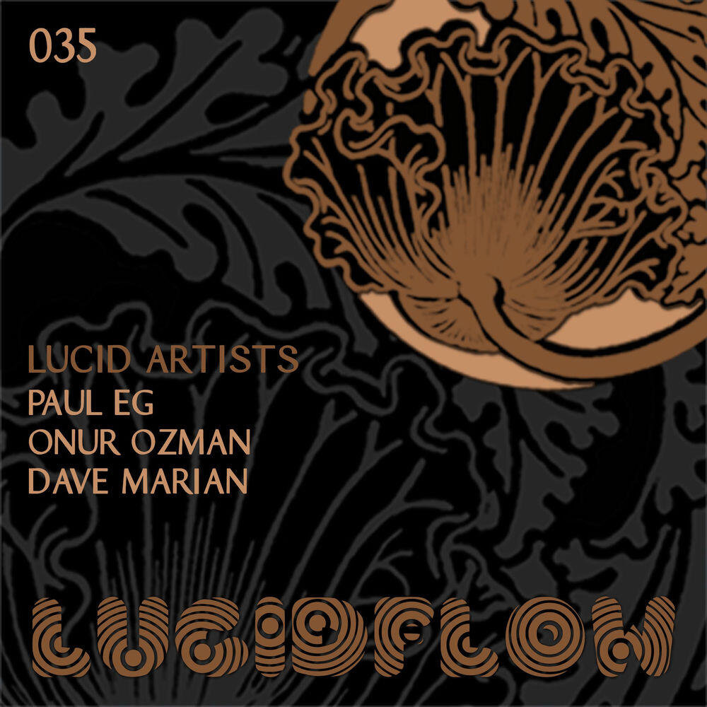 Релиз Lucid Artists