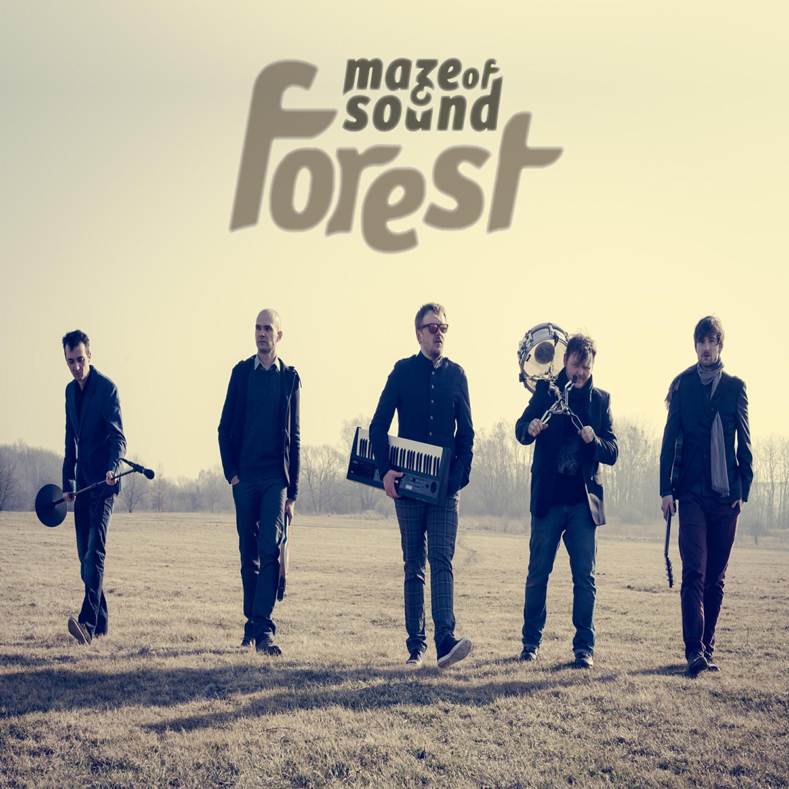 Релиз Forest