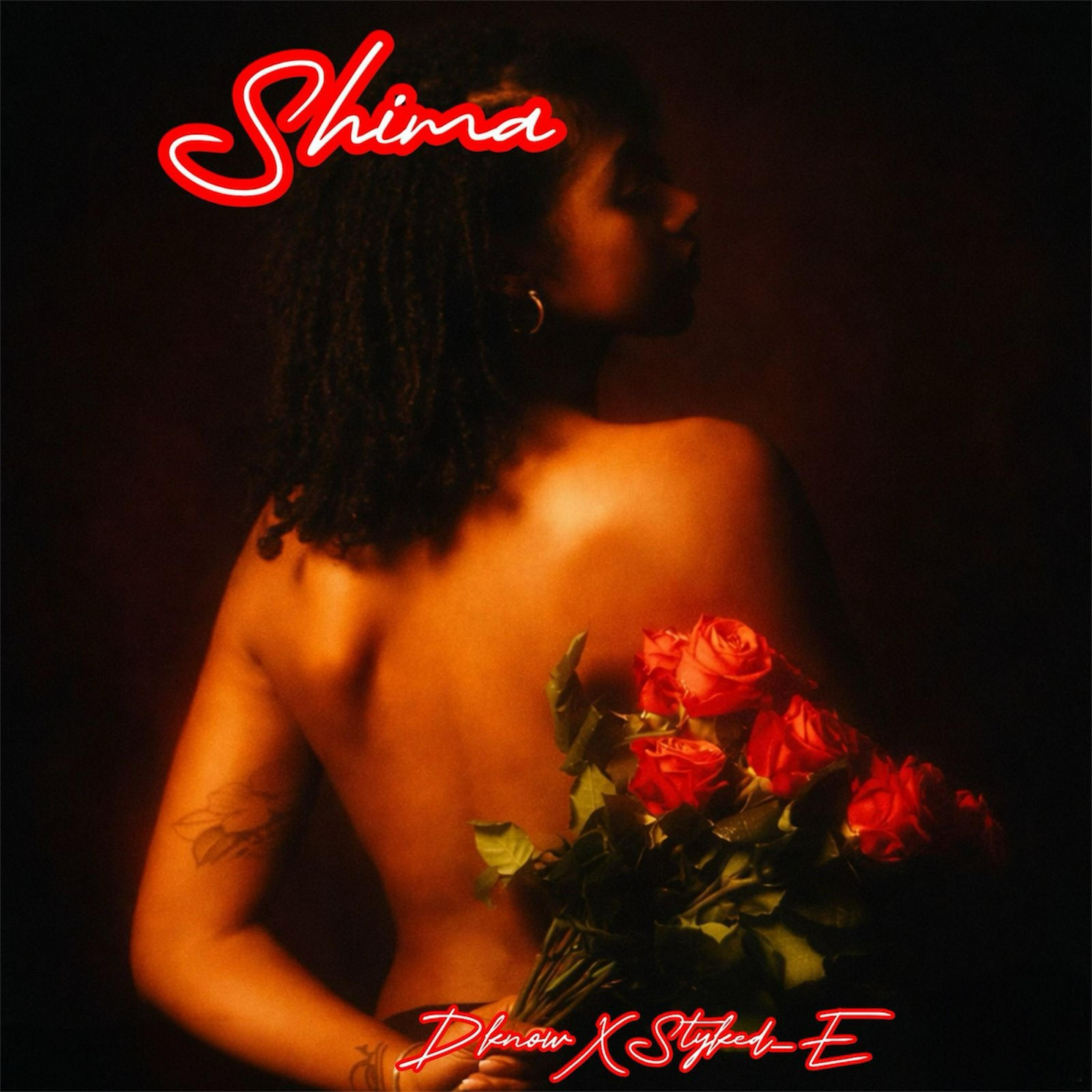 Релиз Shima