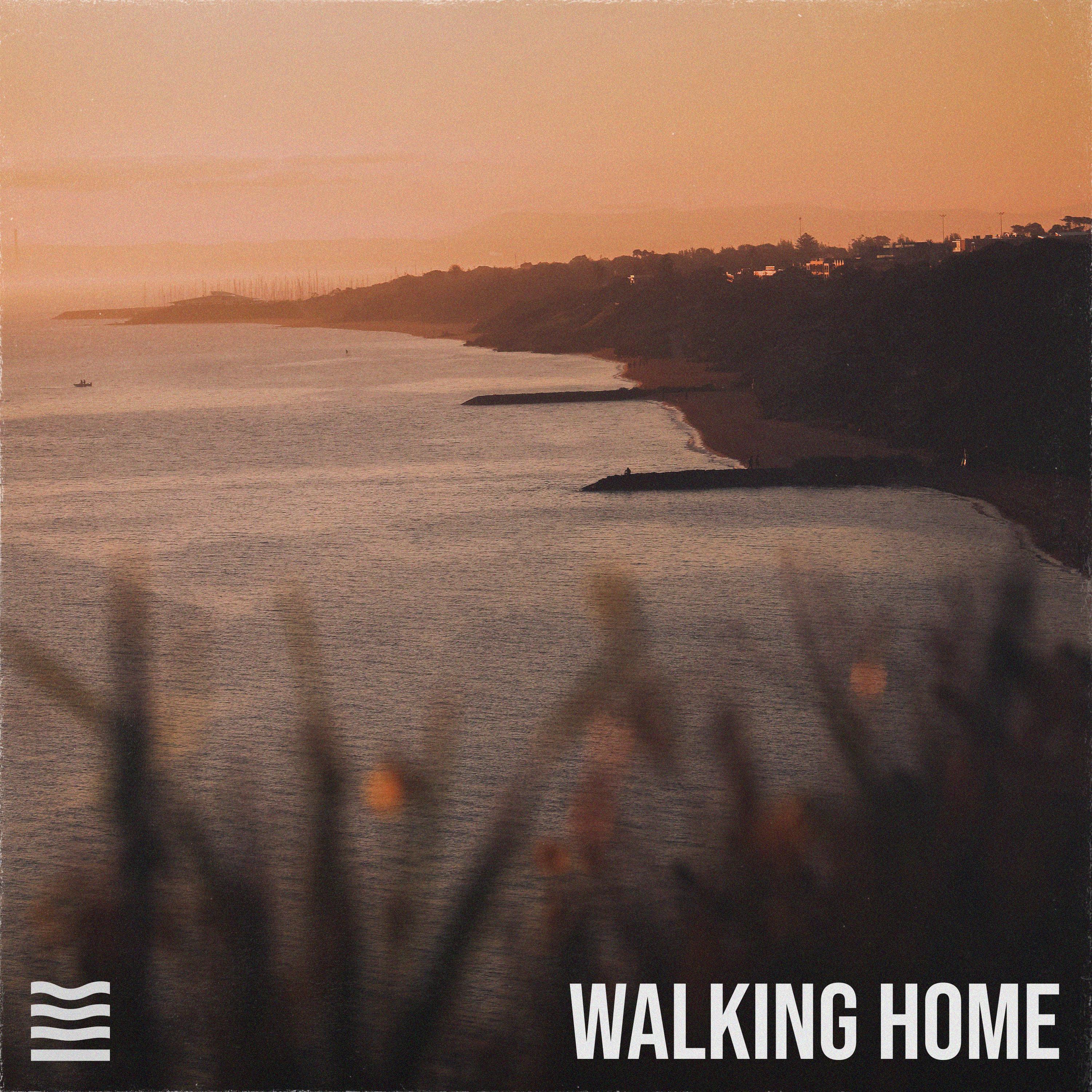 Релиз Walking Home