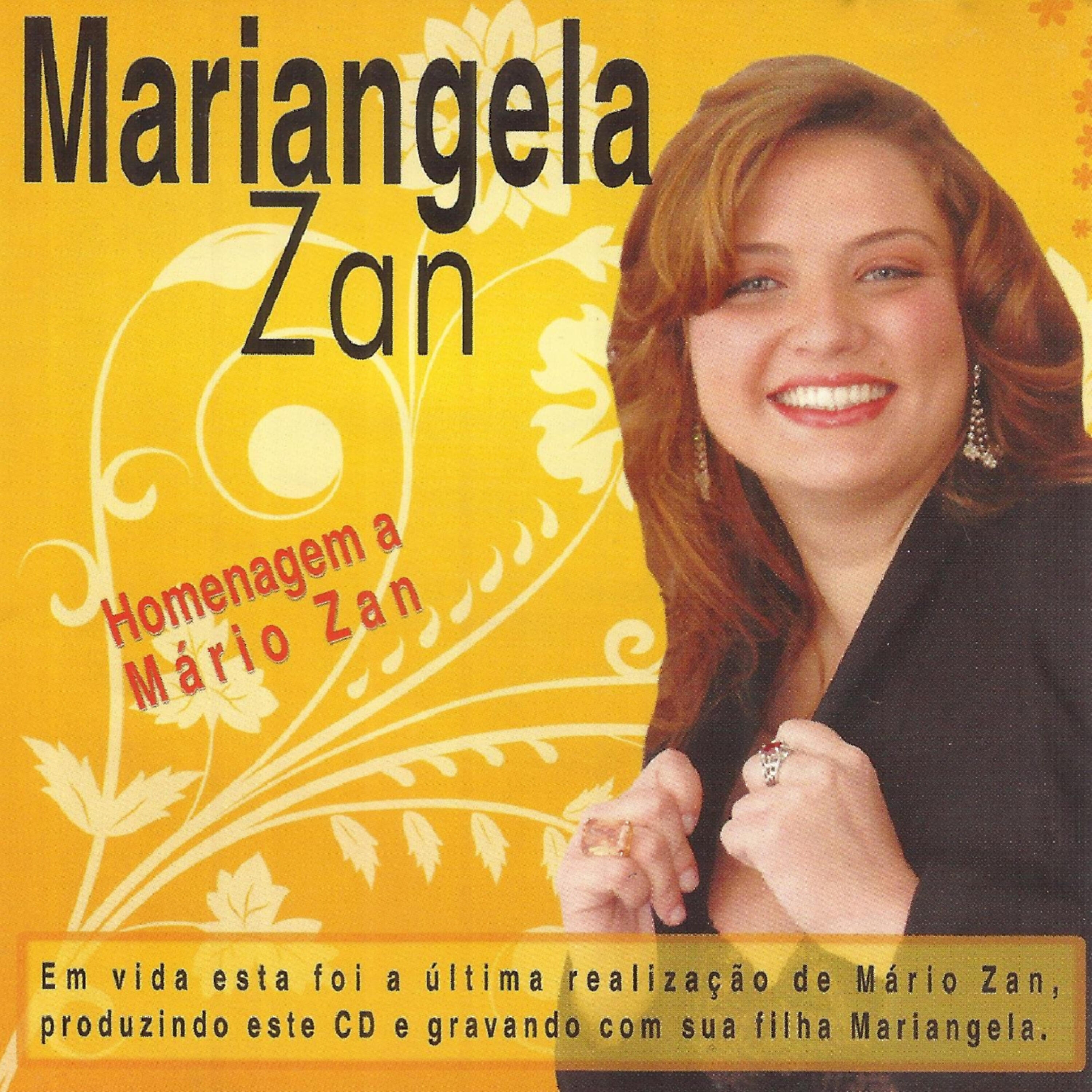 Релиз Homenagem a Mário Zan