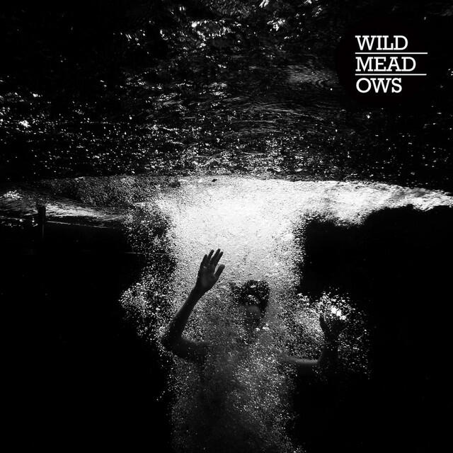 Релиз Wild Meadows