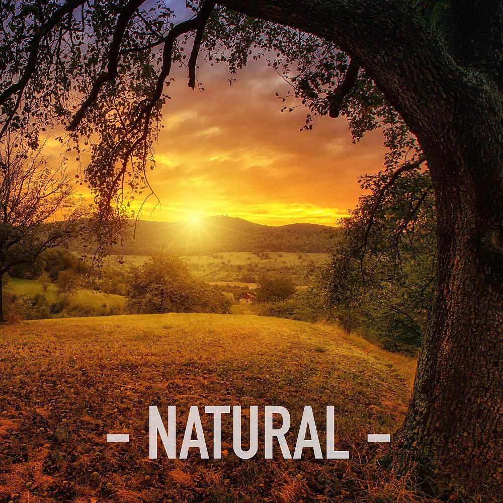 Релиз Natural