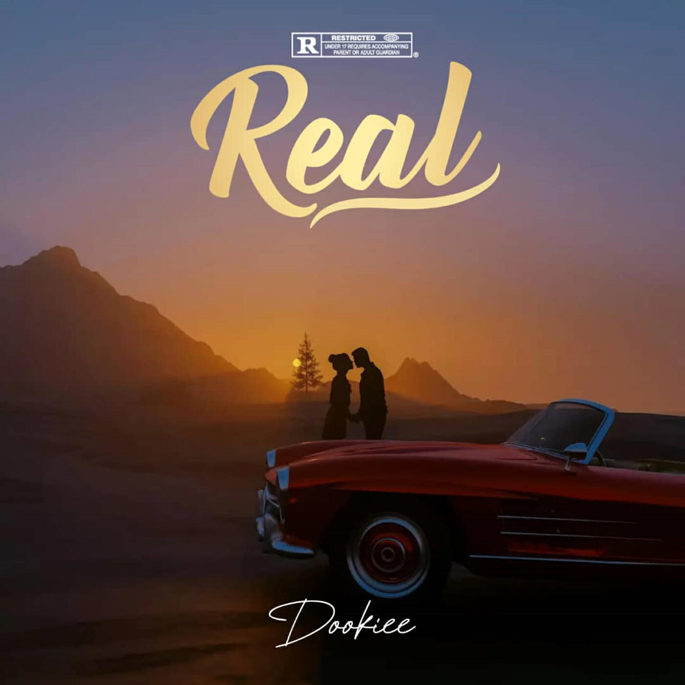 Релиз Real