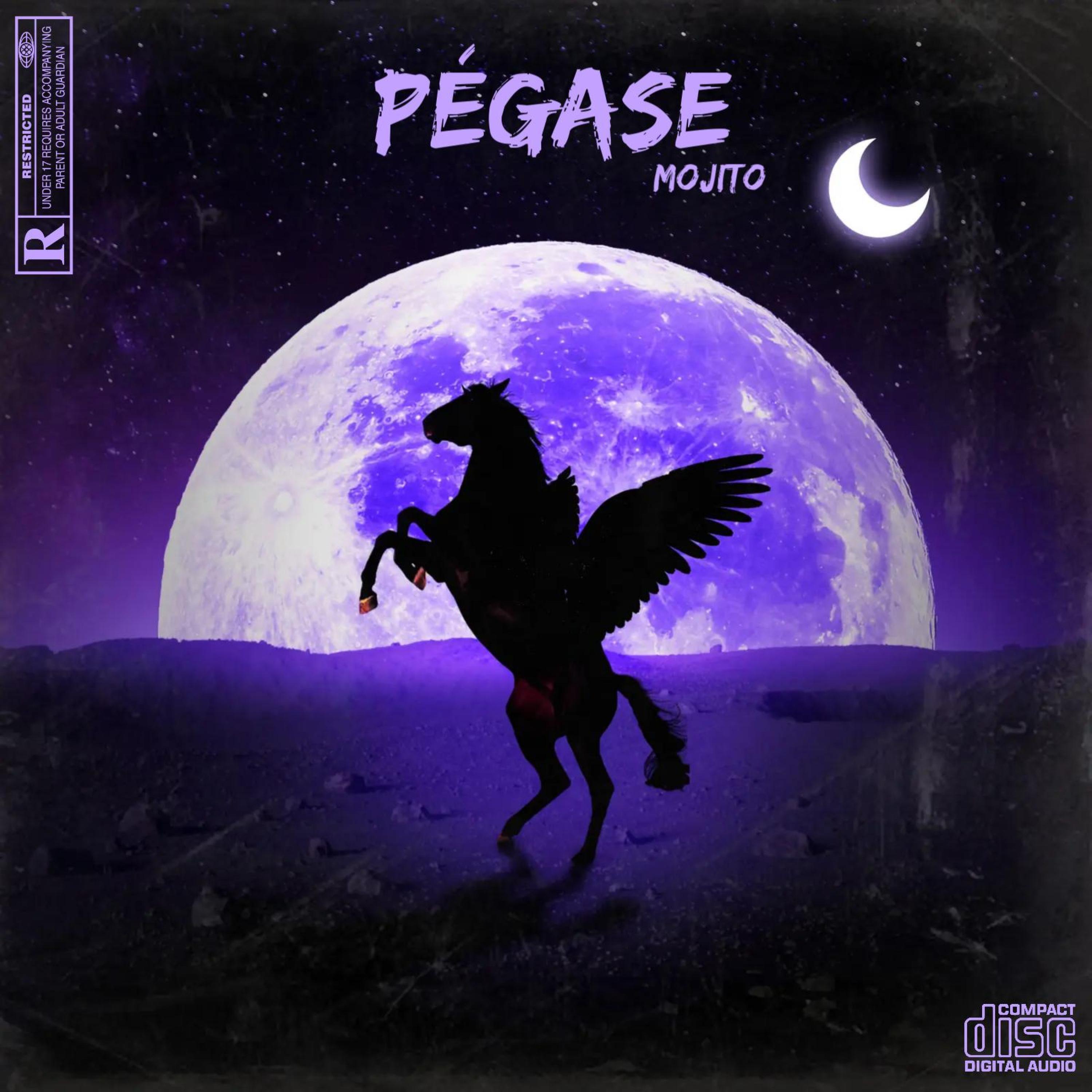 Релиз Pégase