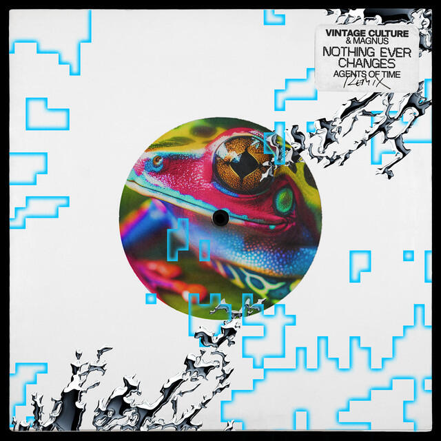 Релиз Nothing Ever Changes - Agents of Time Remix