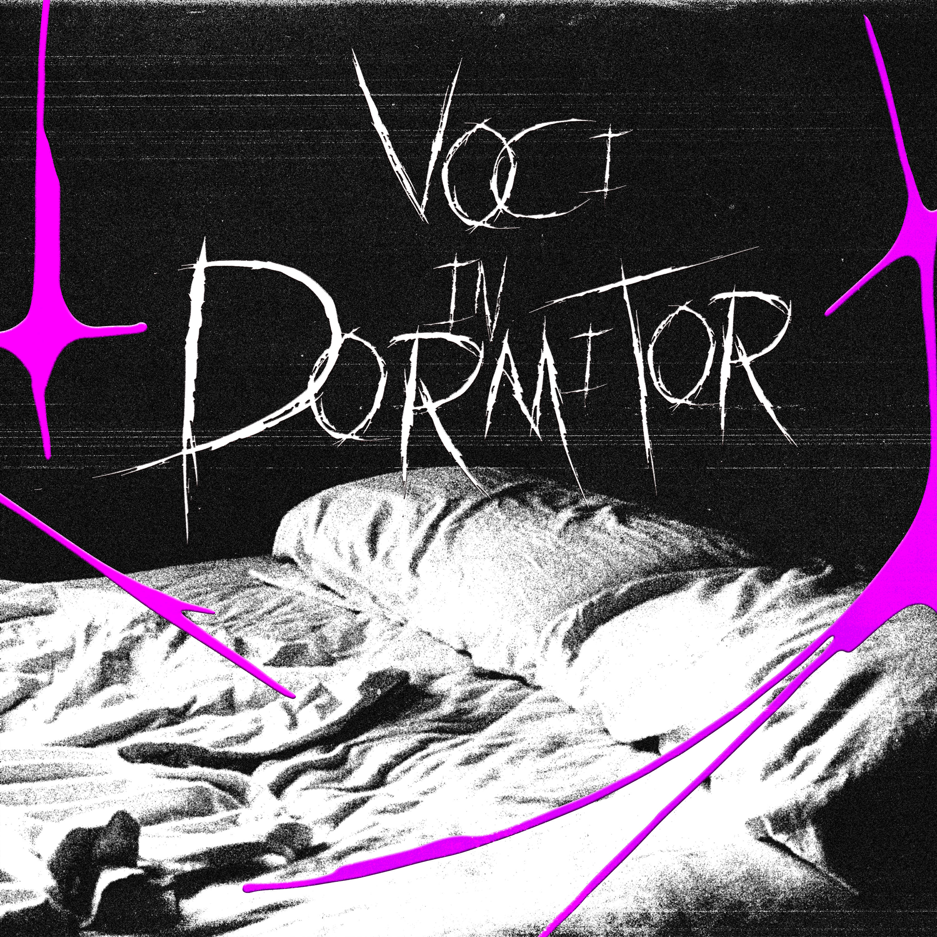 Релиз Voci in dormitor