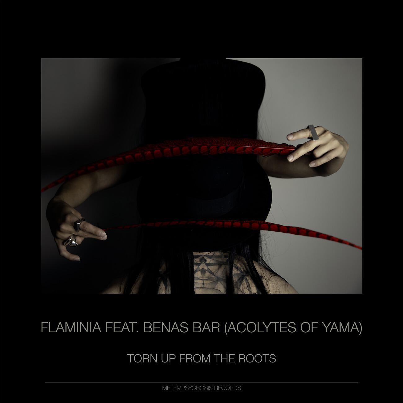 Релиз Torn Up From The Roots