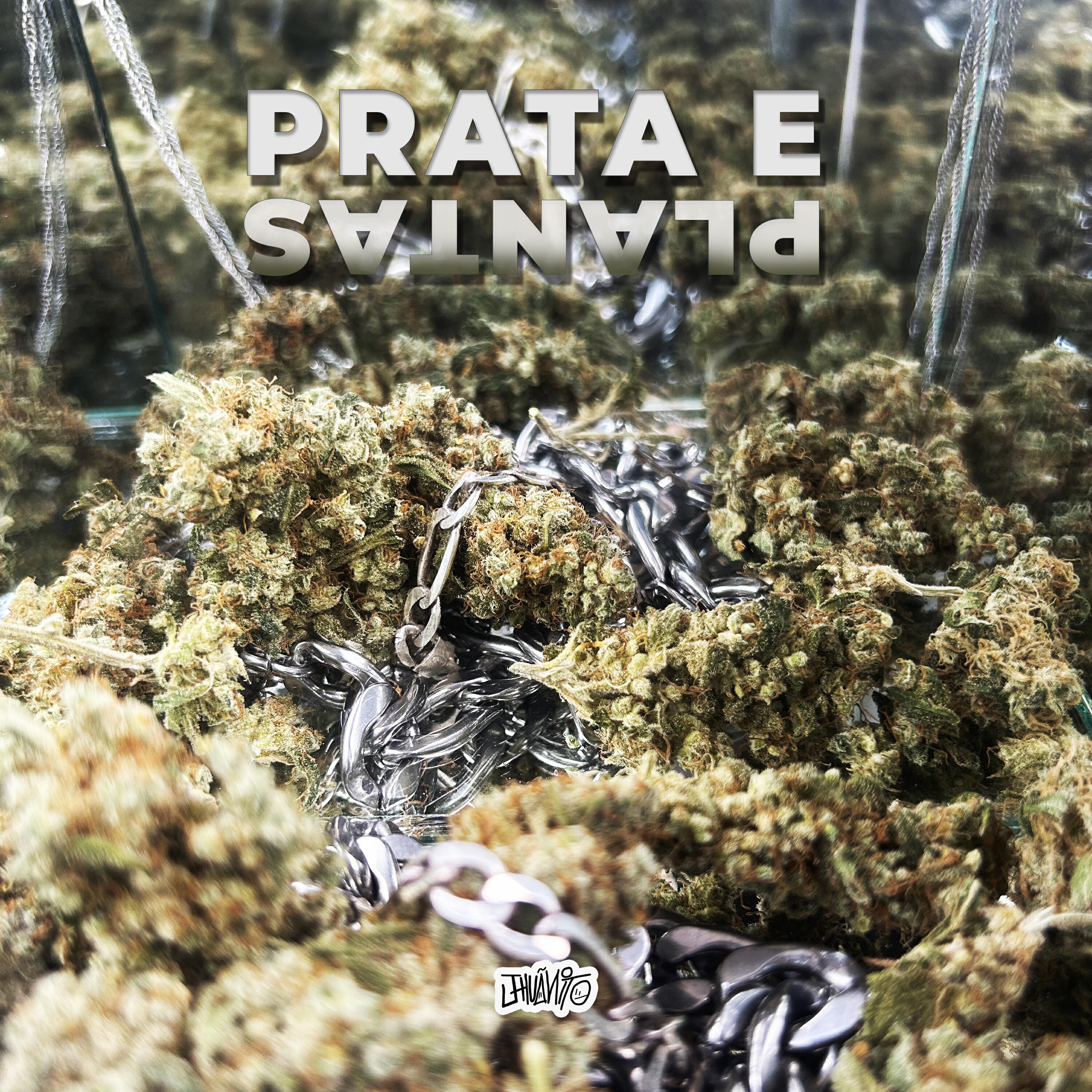 Релиз Prata e Plantas