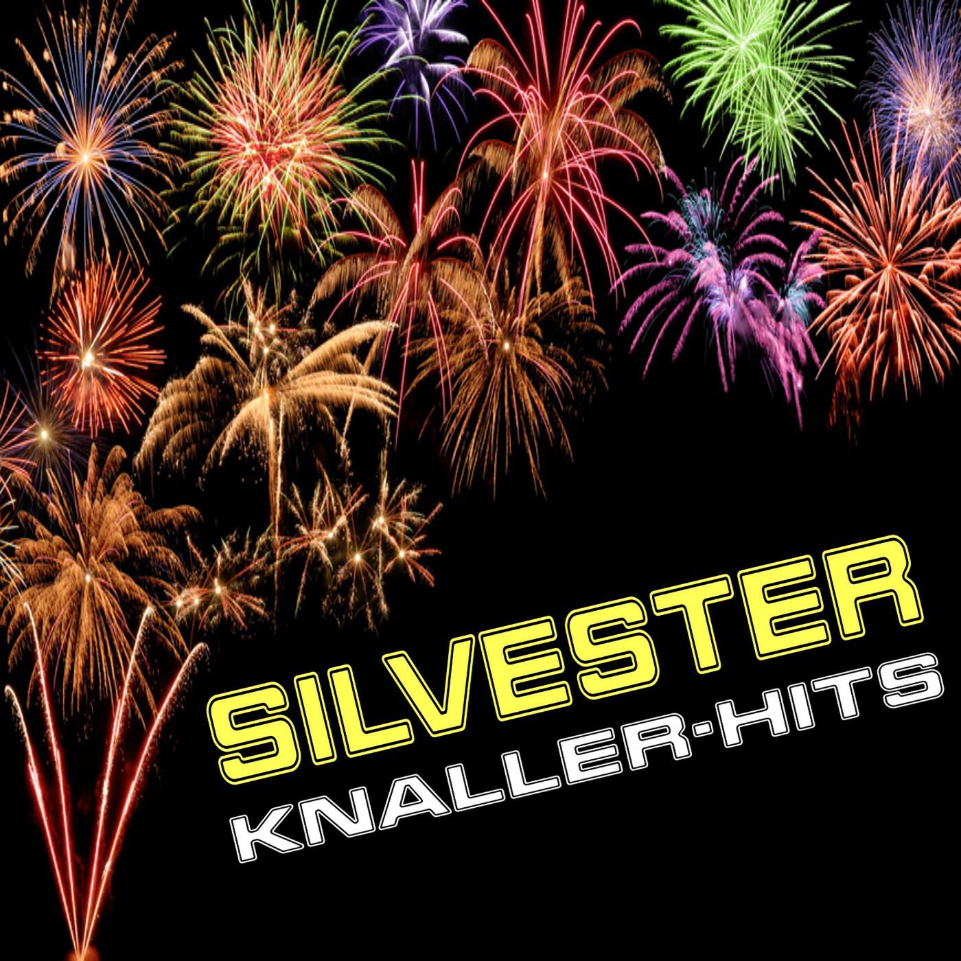 Релиз Silvester Knaller-Hits