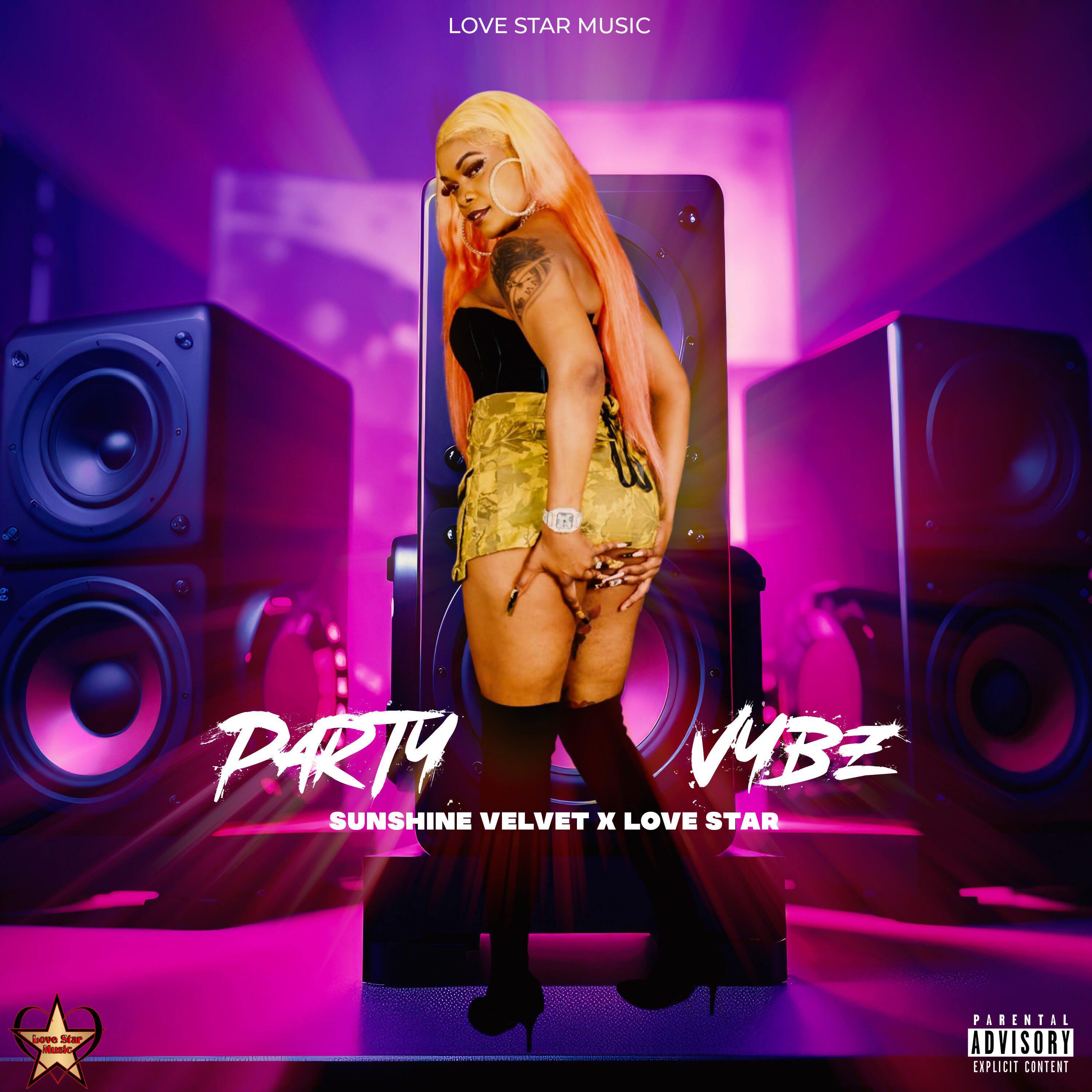 Релиз Party Vybz