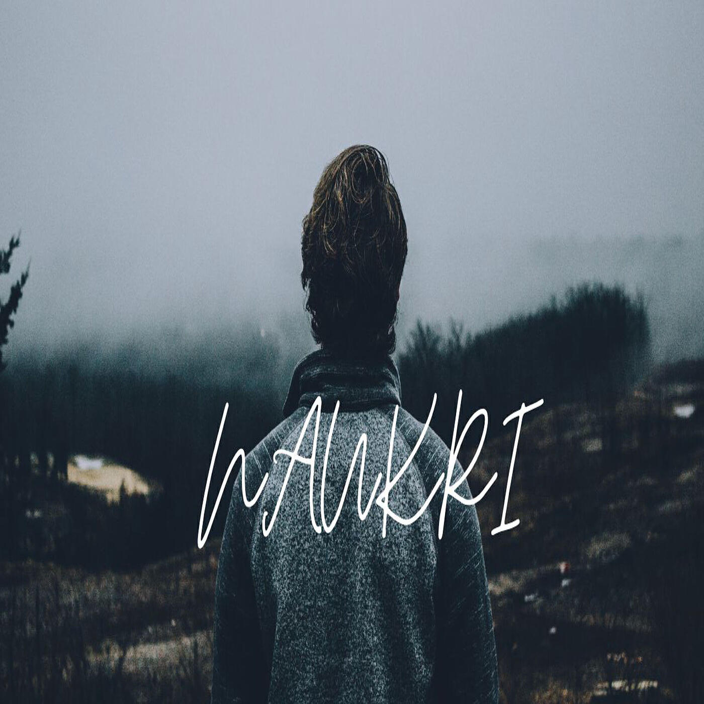 Релиз Naukri
