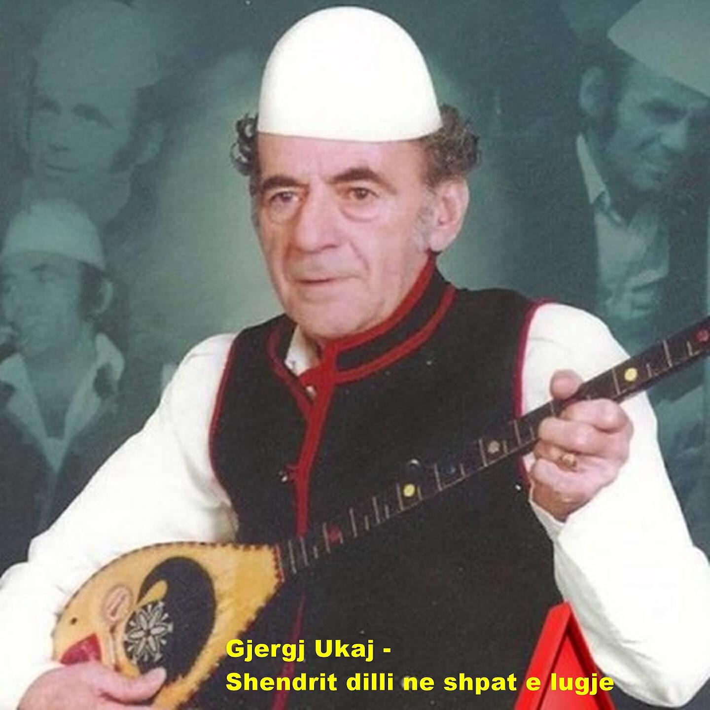 Релиз Shendrit Dilli Ne Shpat E Lugje