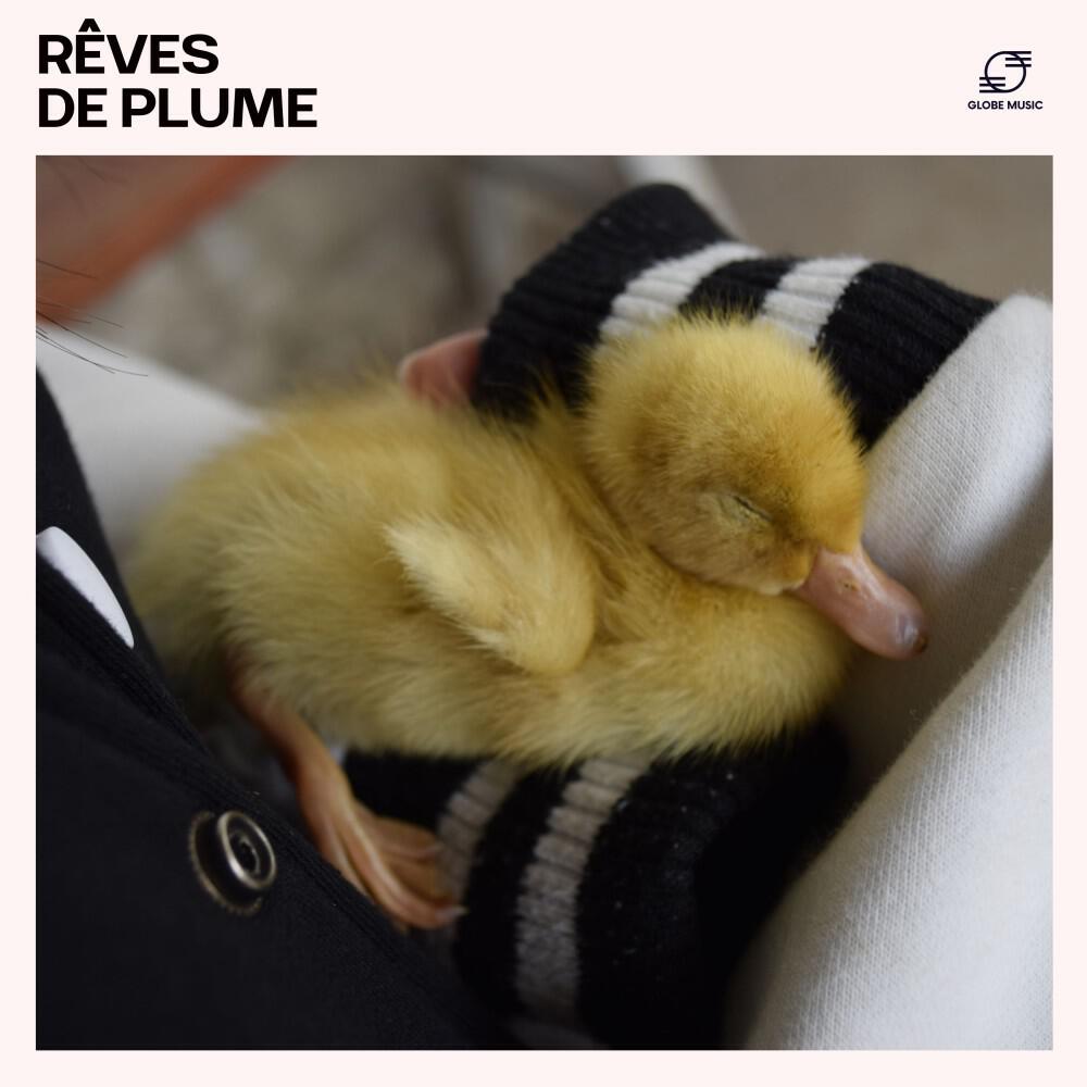 Релиз Rêves de Plume