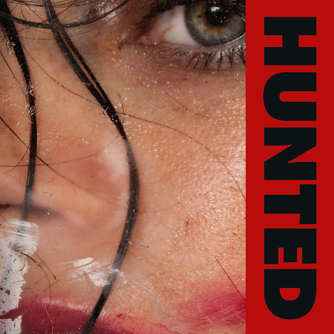 Релиз Hunted