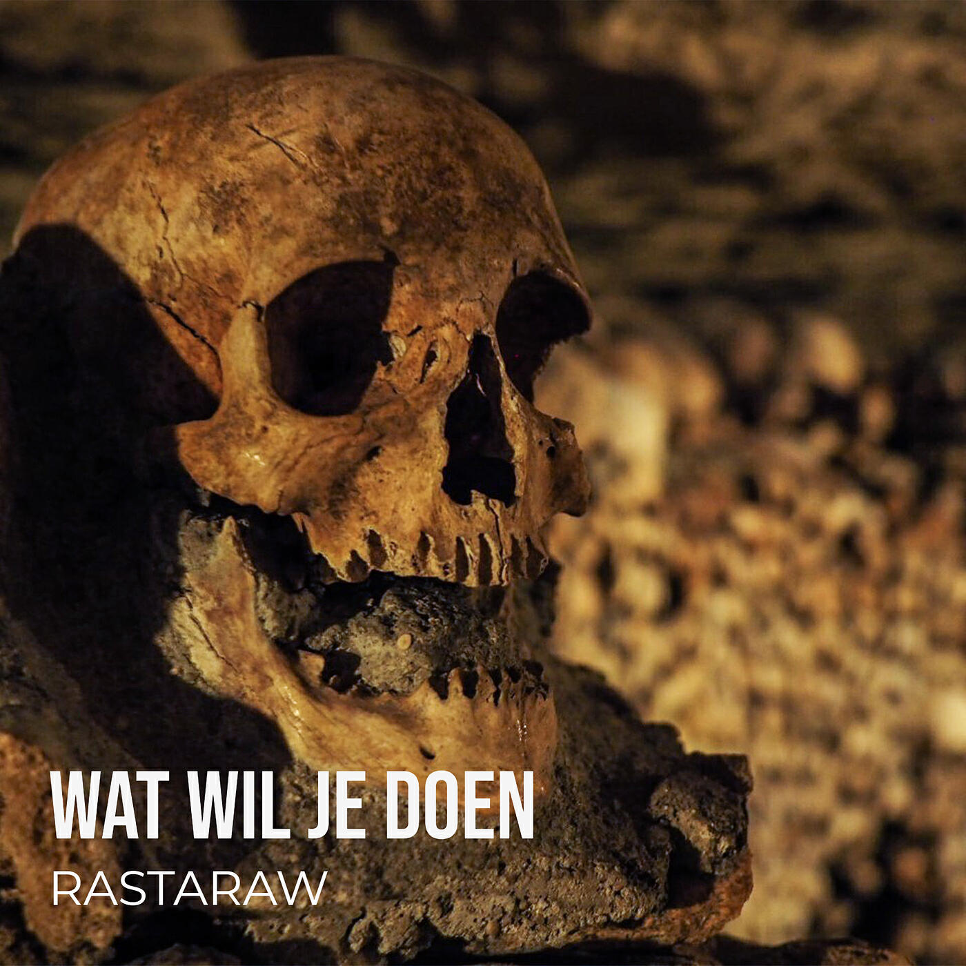Релиз Wat Wil Je Doen