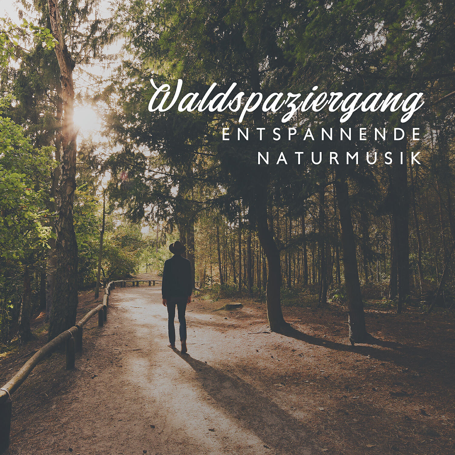 Релиз Waldspaziergang – Entspannende und Beruhigend New Age Naturmusik