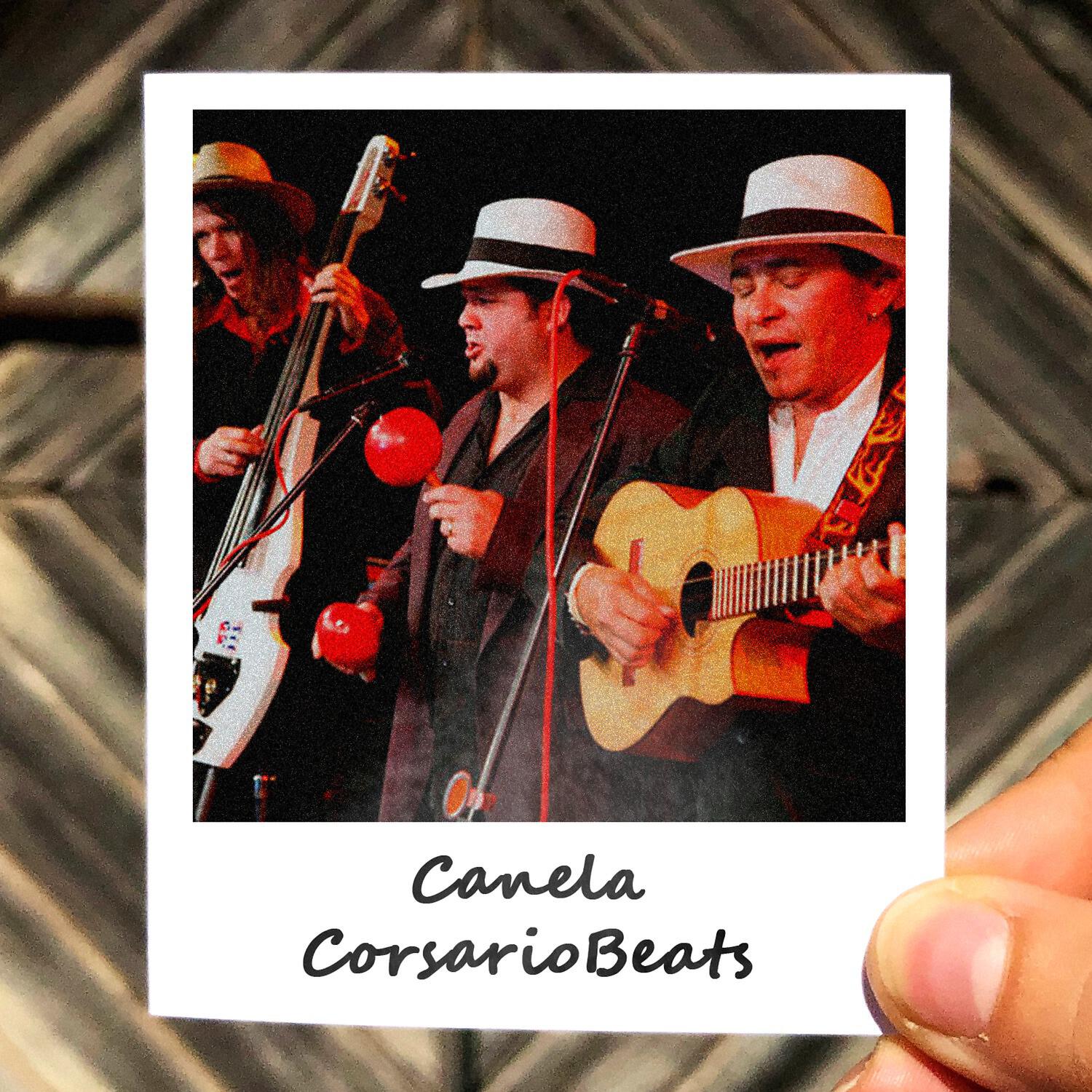 Релиз Canela